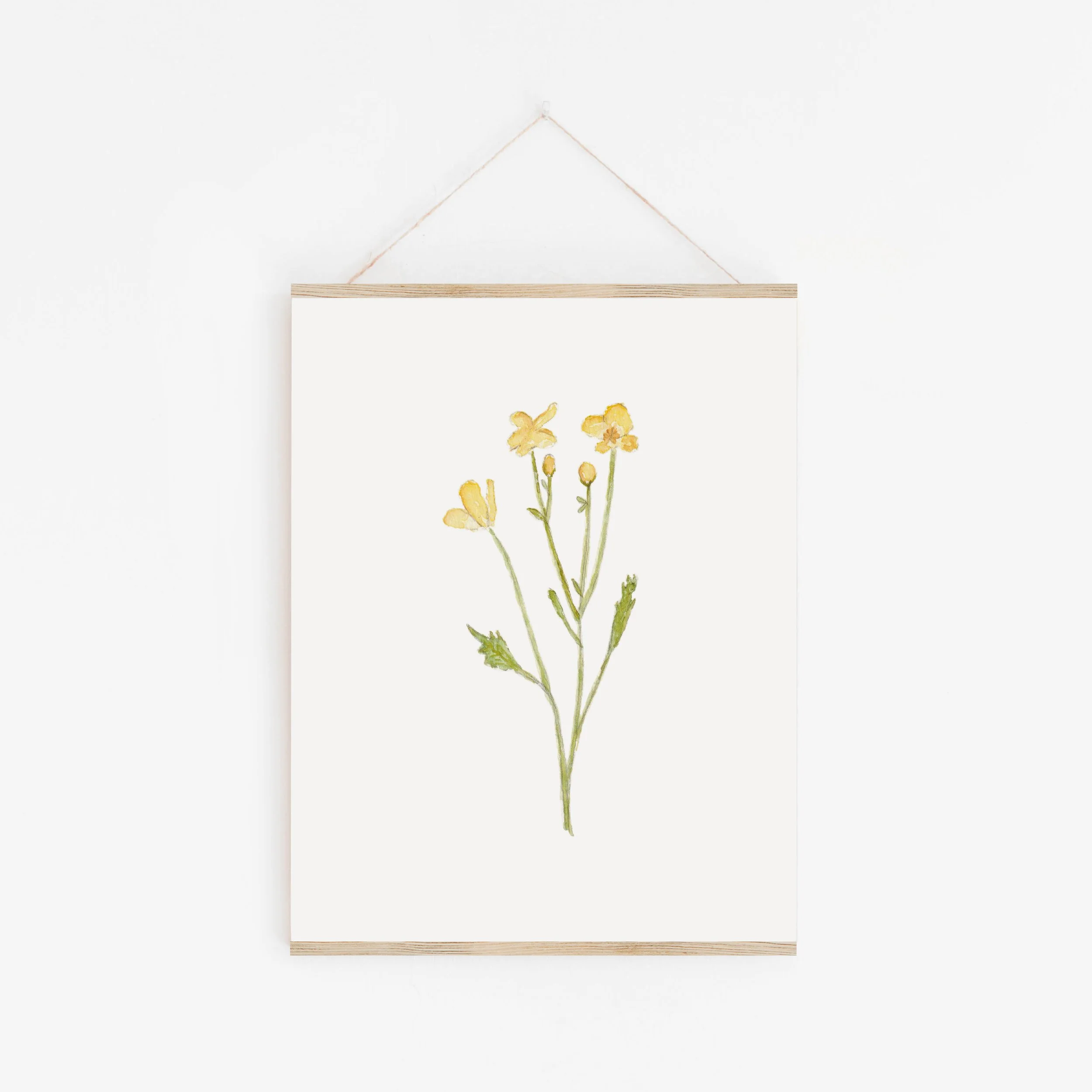 PRINT106_ButtercupStem_Hanger.jpg
