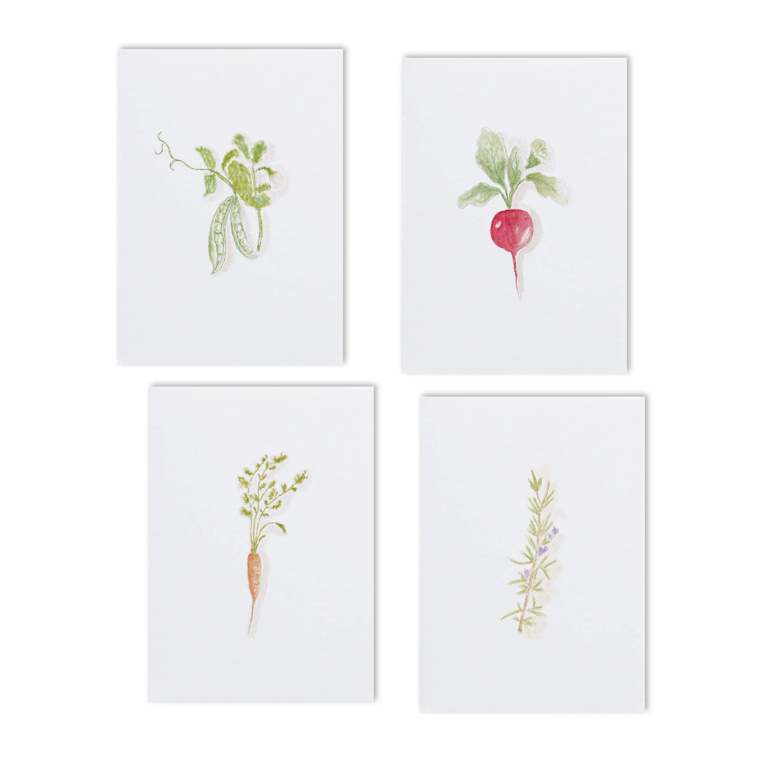 Vegetable Garden Collection