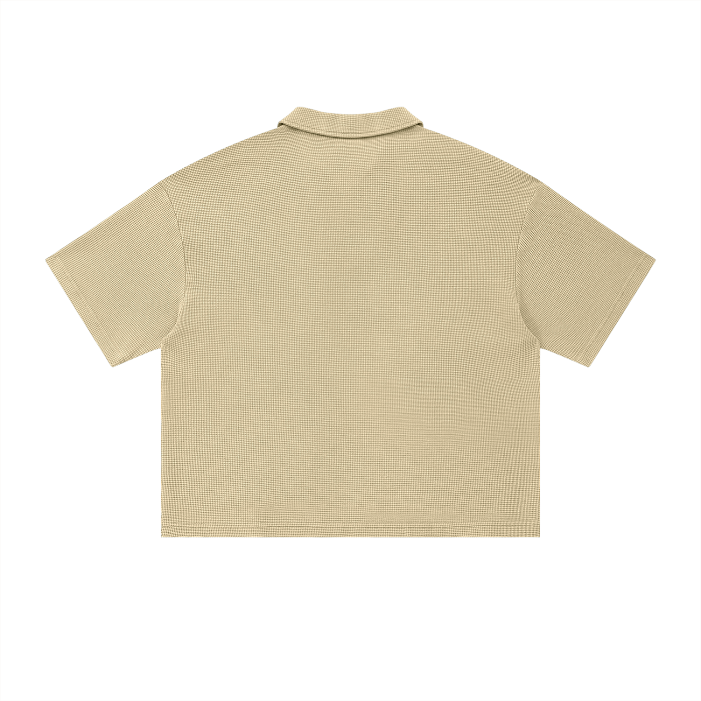 squarespace-upload-temp-2026-05-22-dca993fc-8108-4000-b46f-fef2cca01a2e12355810624051305089.png