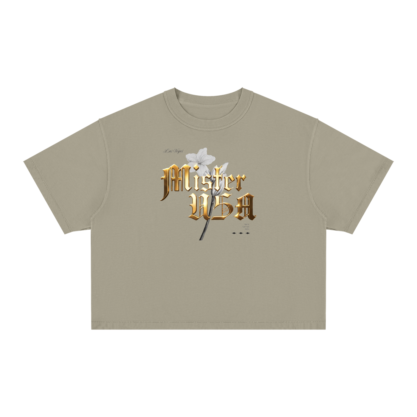 Hunt & Harbor x Mister USA Las Vegas Vintage Wash Boxy T-Shirt
