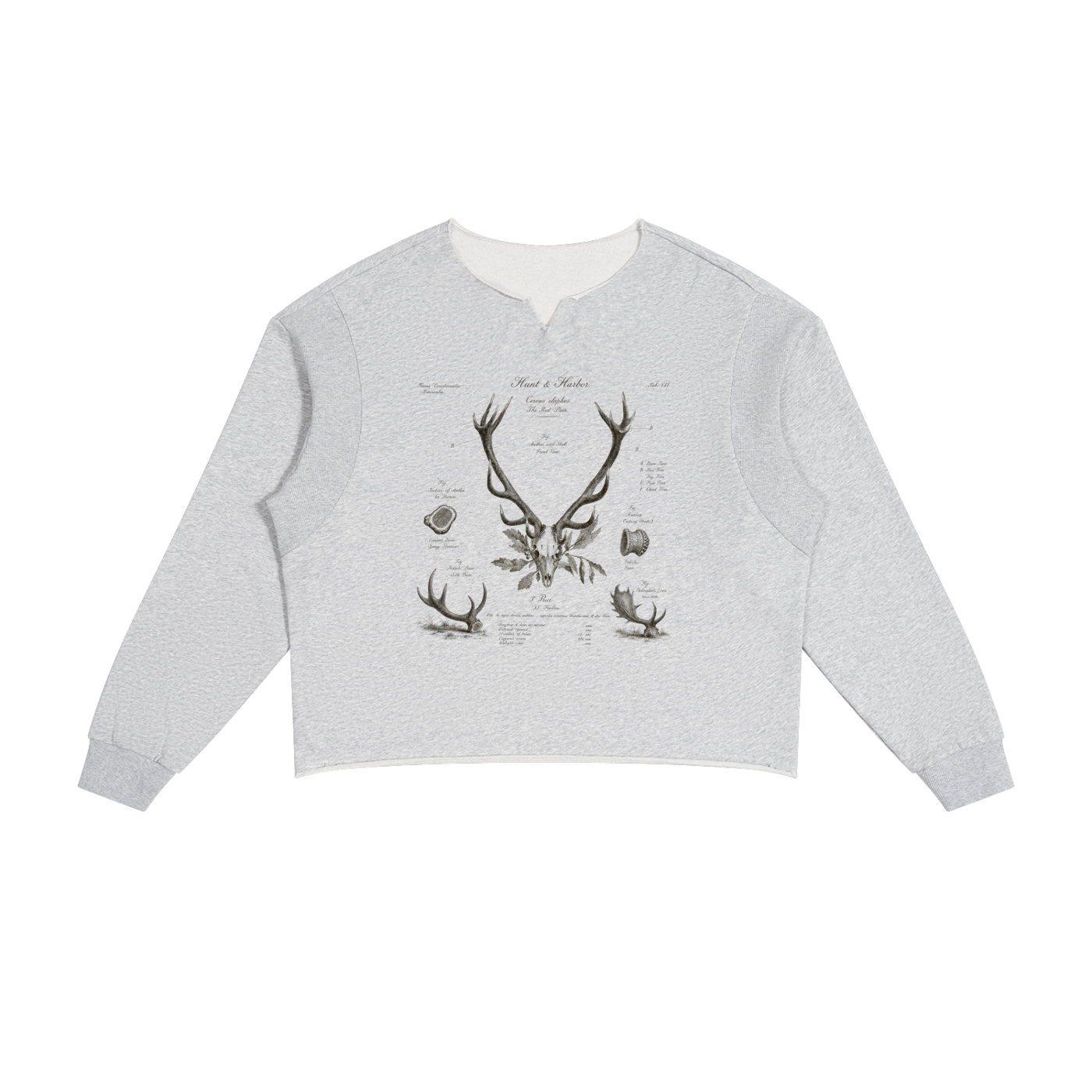 Hunt & Harbor Deer Antler Study boxy sweatshirt in flower gray with vintage red deer naturalist print, front view