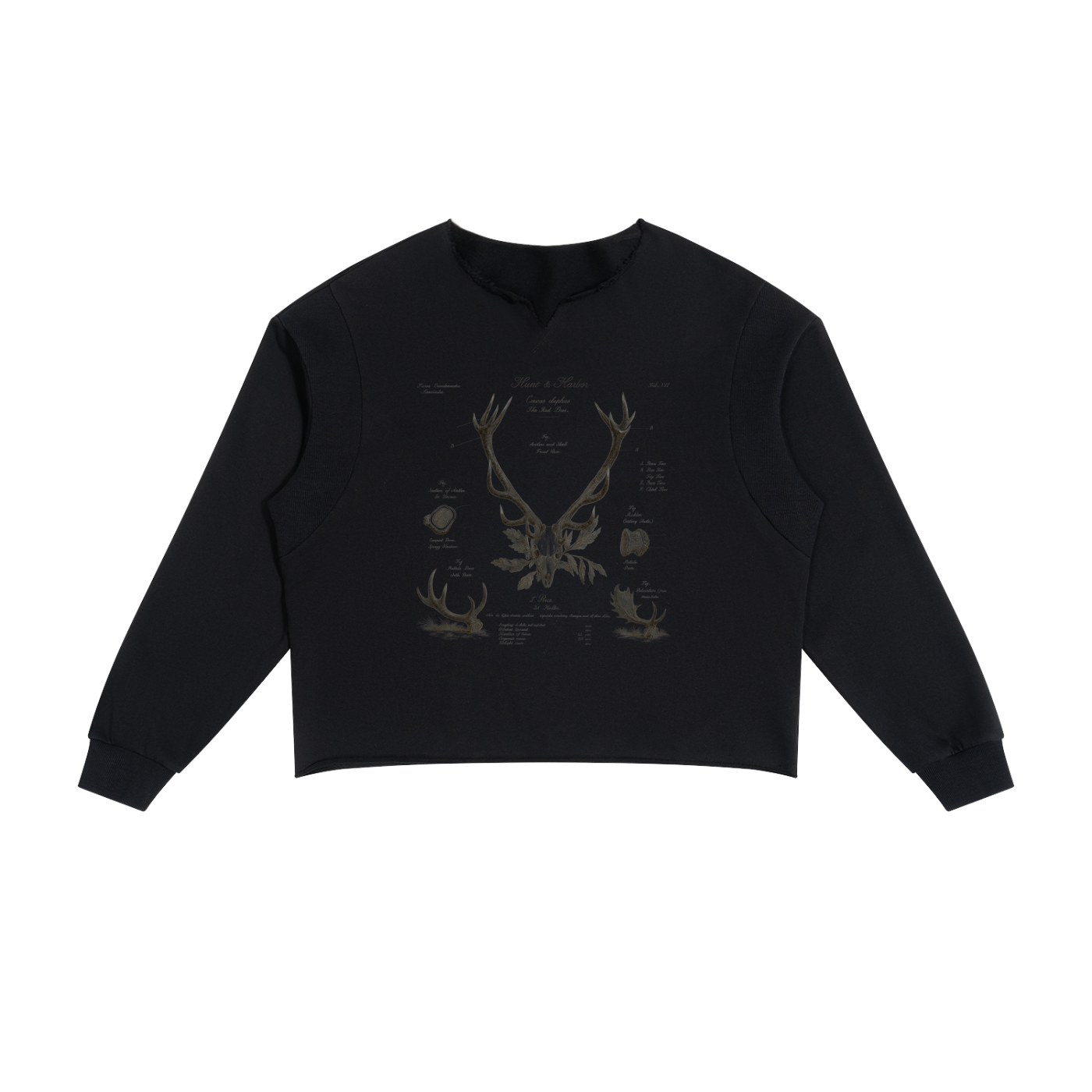 Hunt & Harbor Deer Antler Study boxy sweatshirt in black with vintage red deer naturalist print, front view