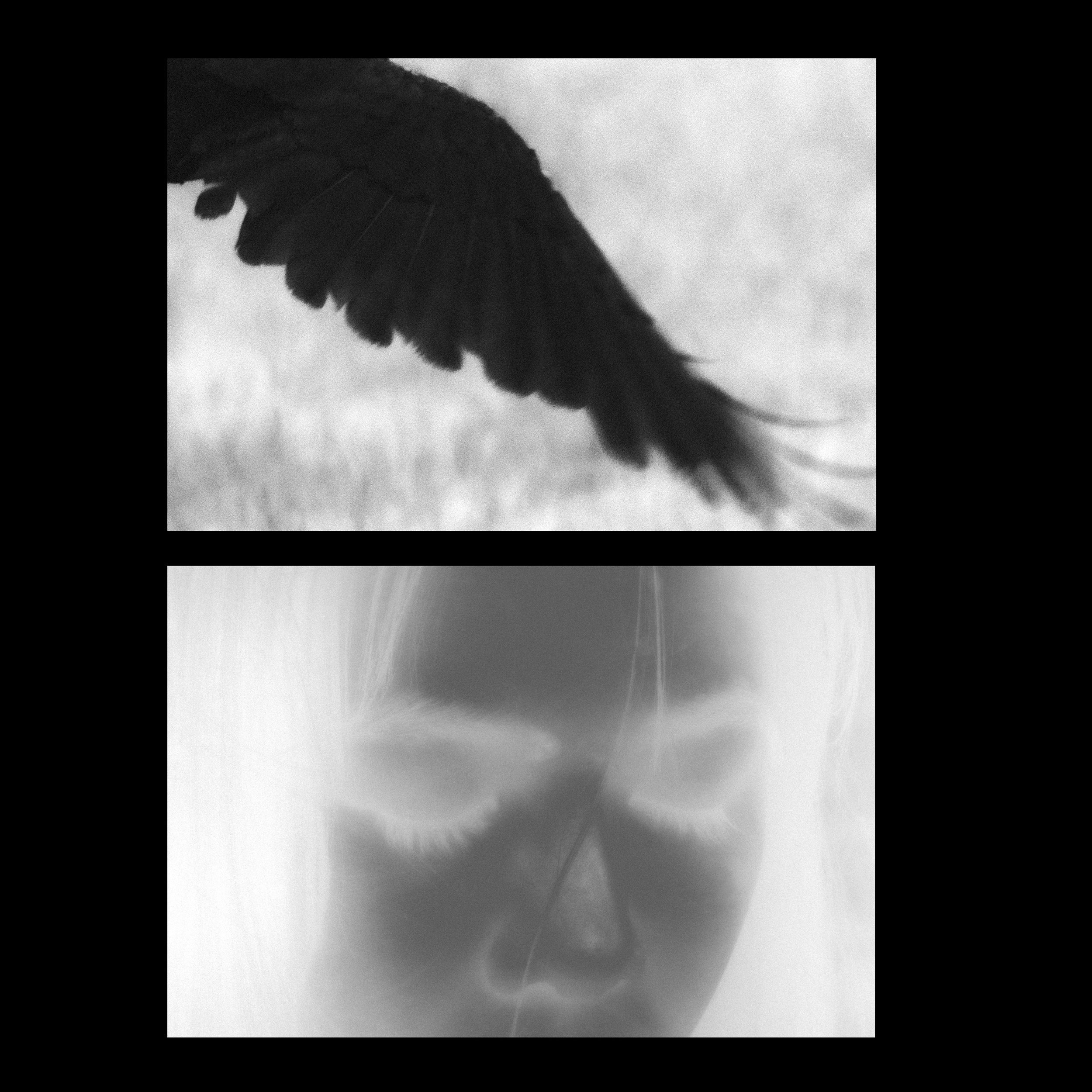 Untitled-3.jpg