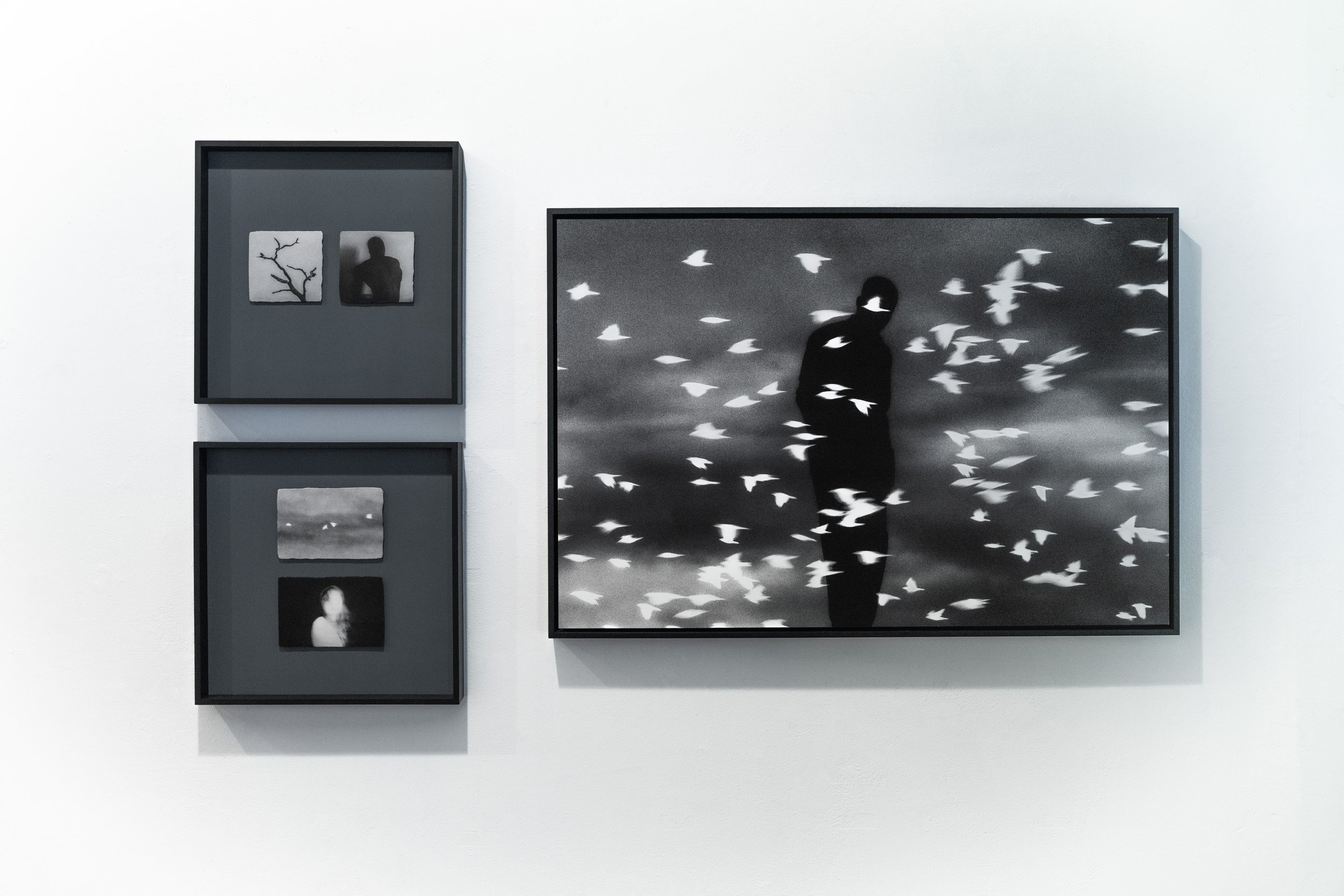'Of Birds and Being, Prologue' on display at DG03 Collective 'Field Notes' exhibition, London