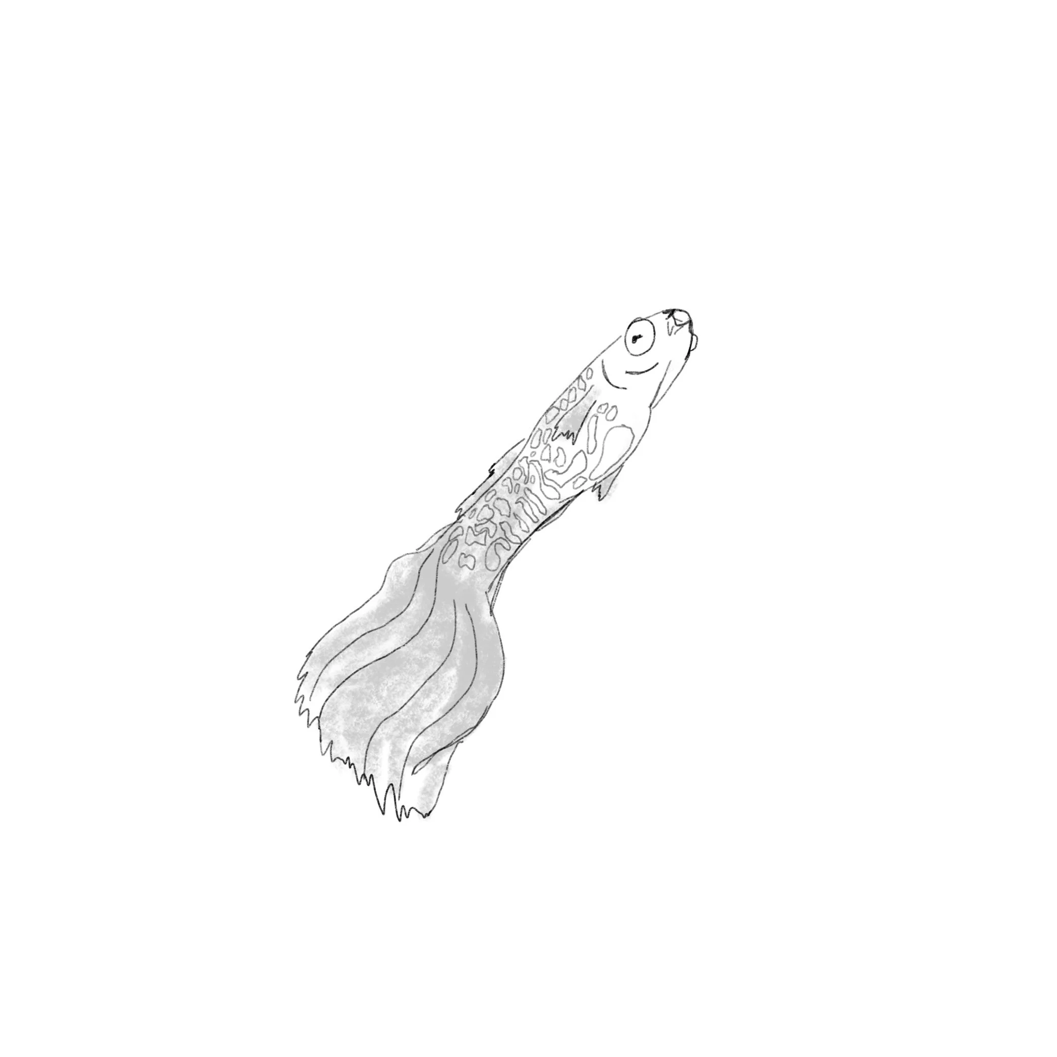 E.jpg