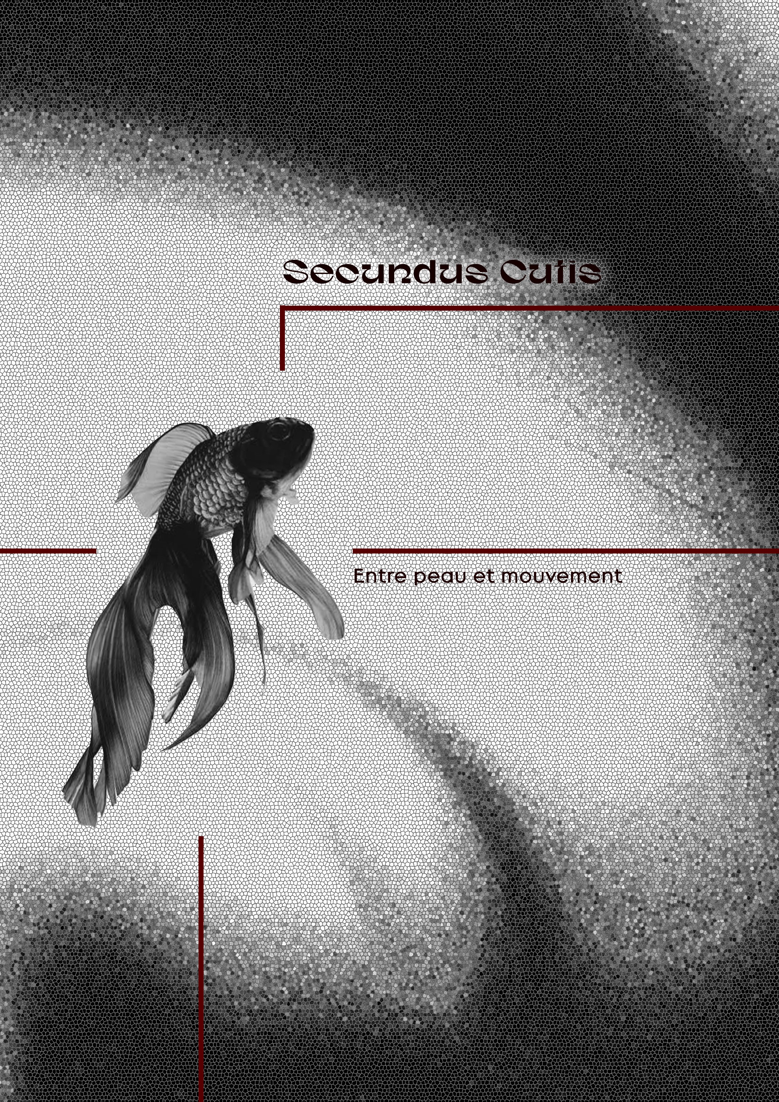SECUNDA CUTIS