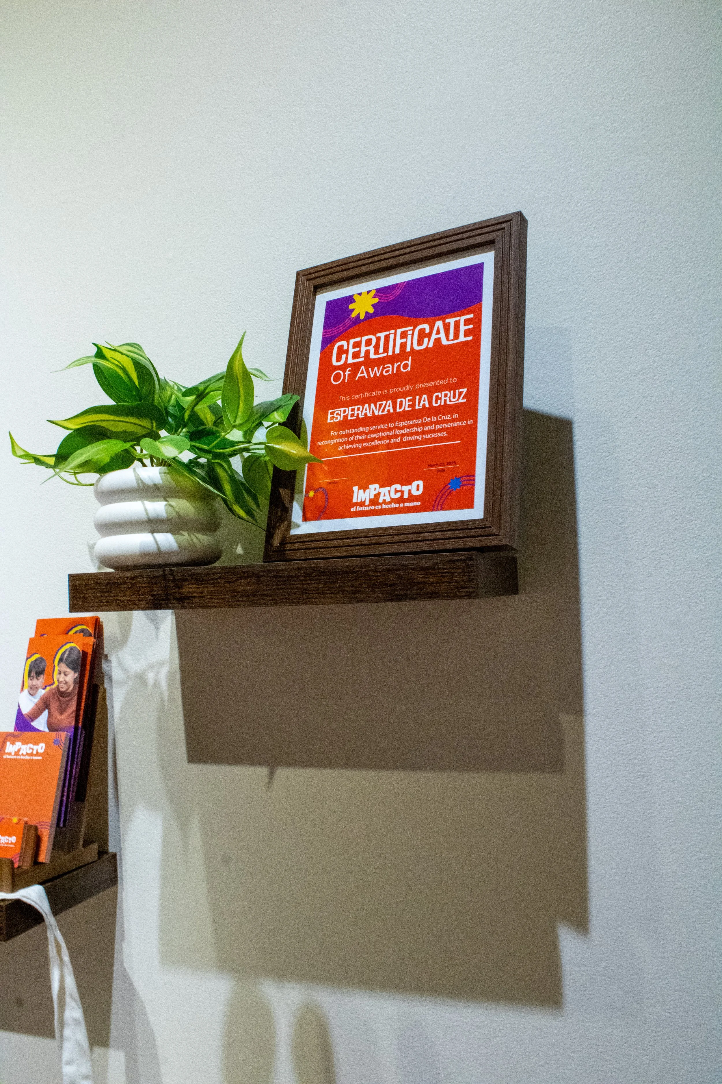 Lopez-Nieves_Cecilia_graphicdesign_f2025_image14.jpg .jpg