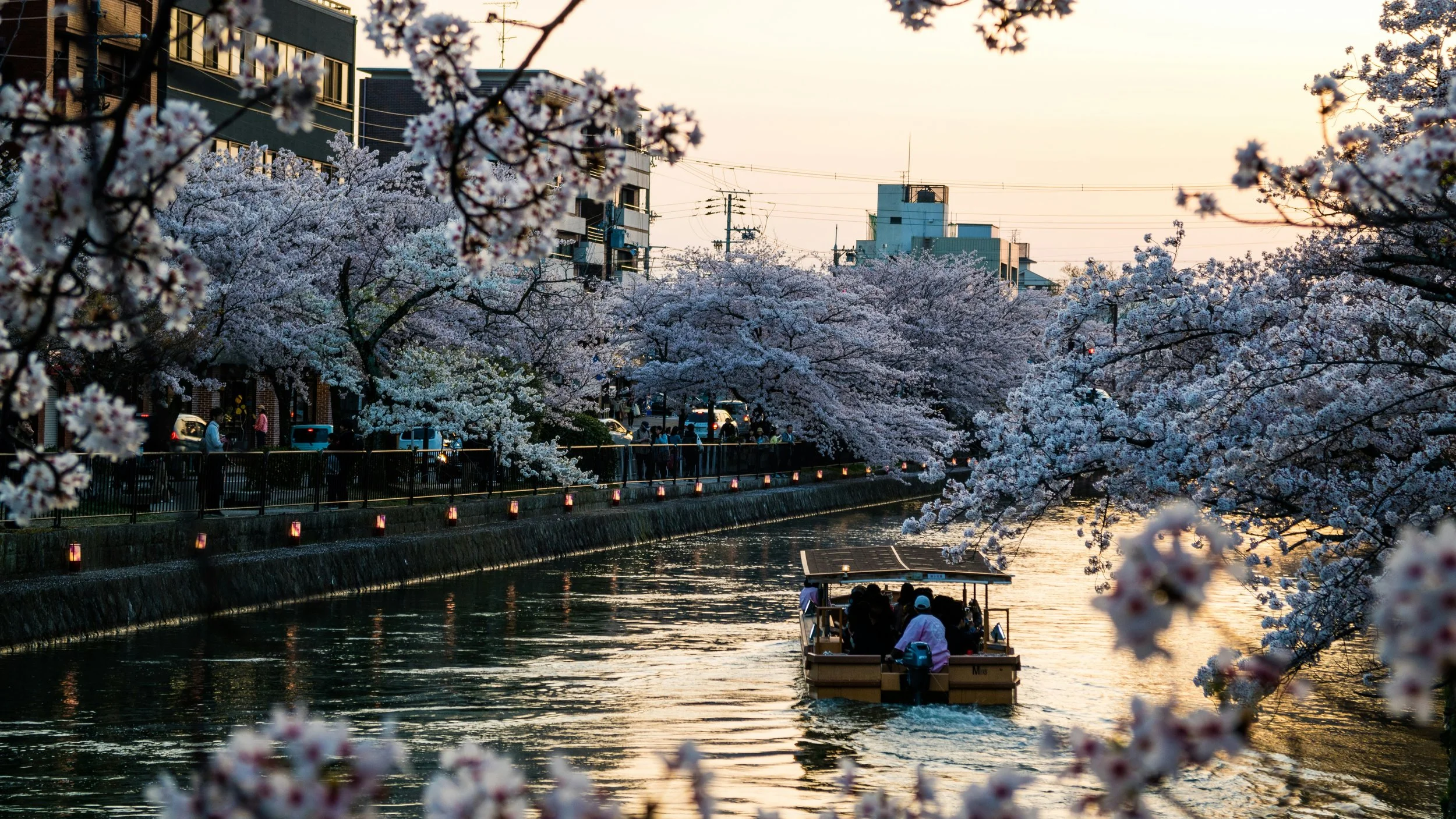Japan in Spring - Where to Go For A Family Vacation