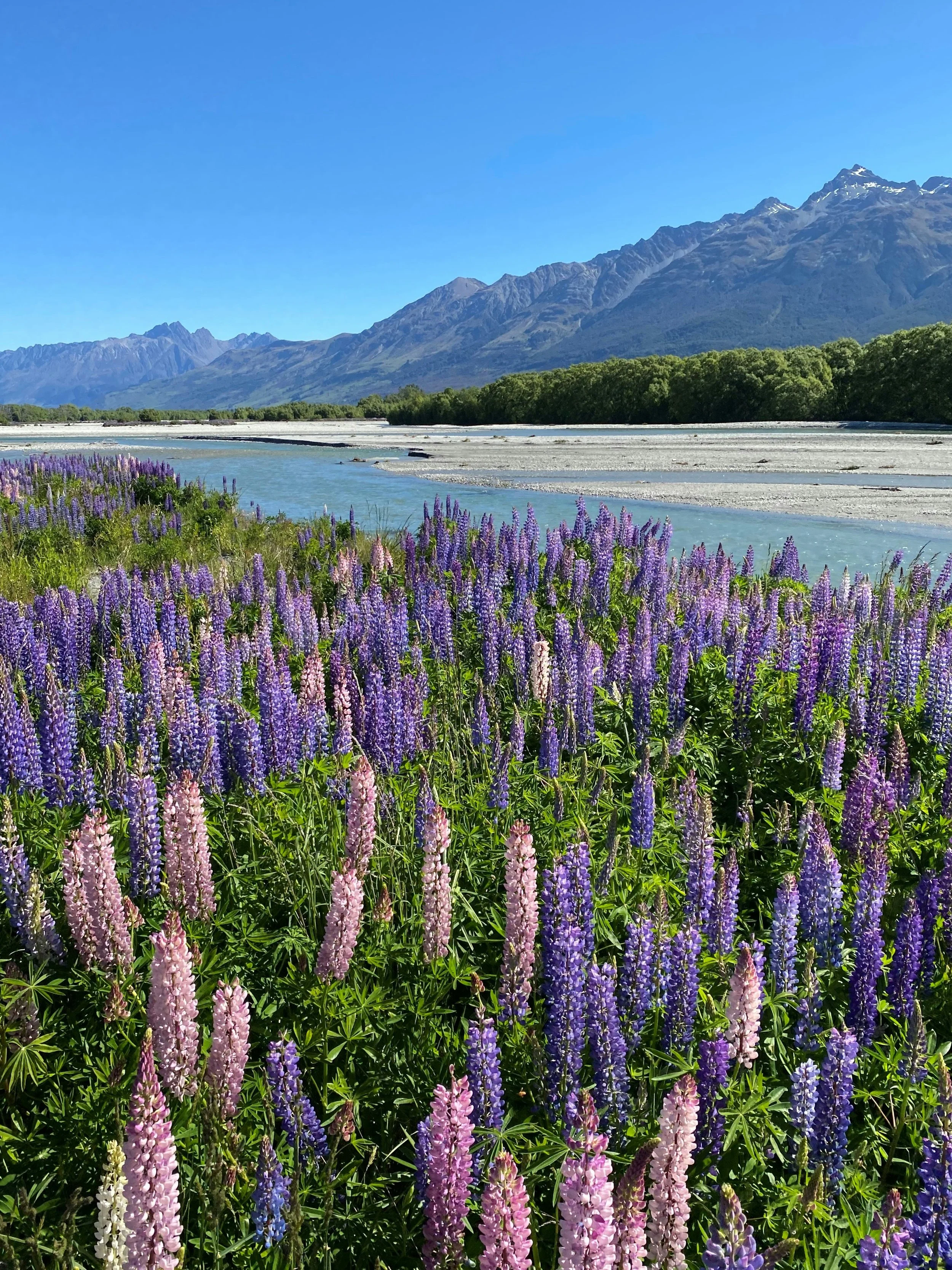 Vacation Destinations for Adventurous Families