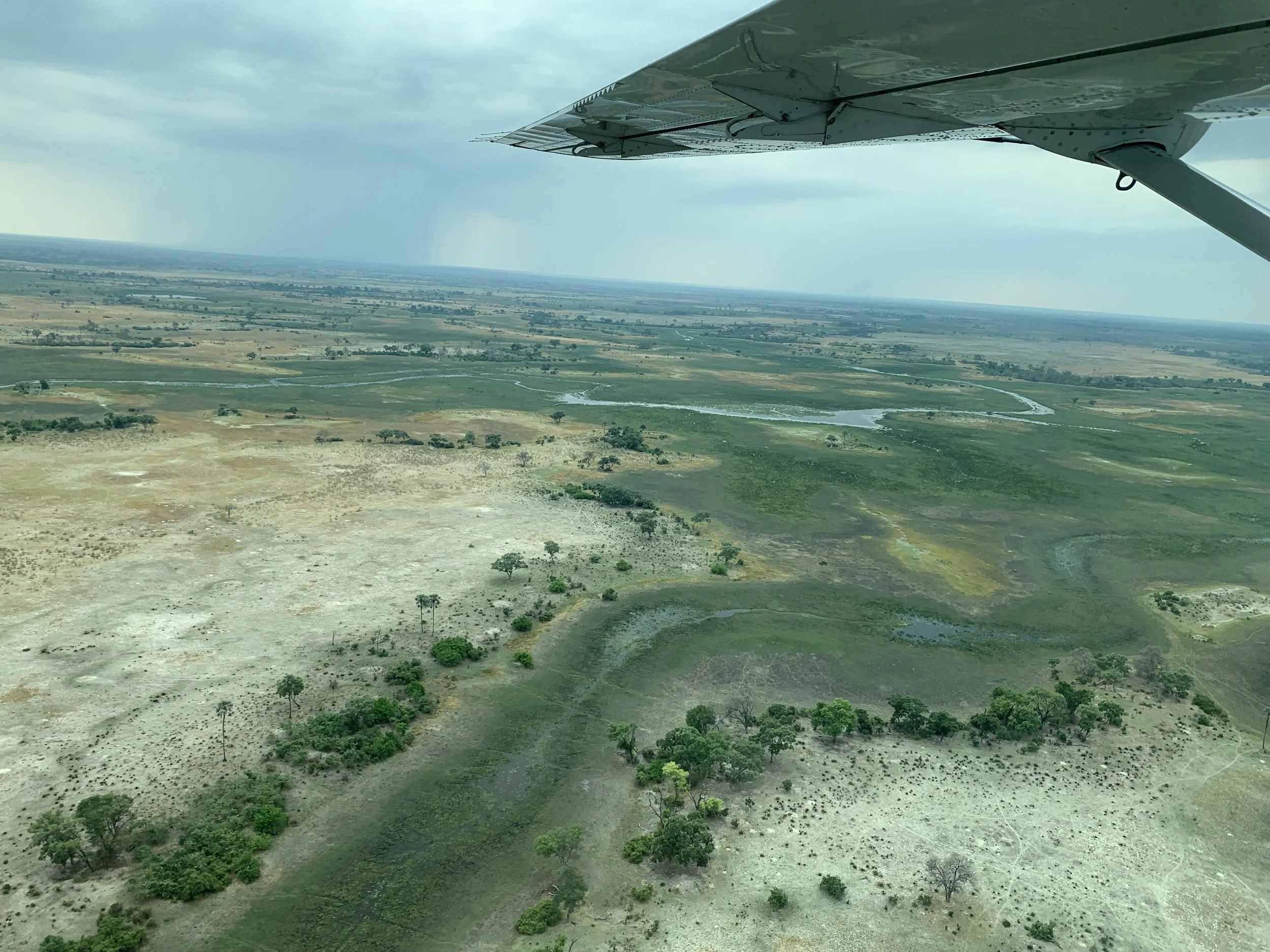 Safari Honeymoon destination ideas