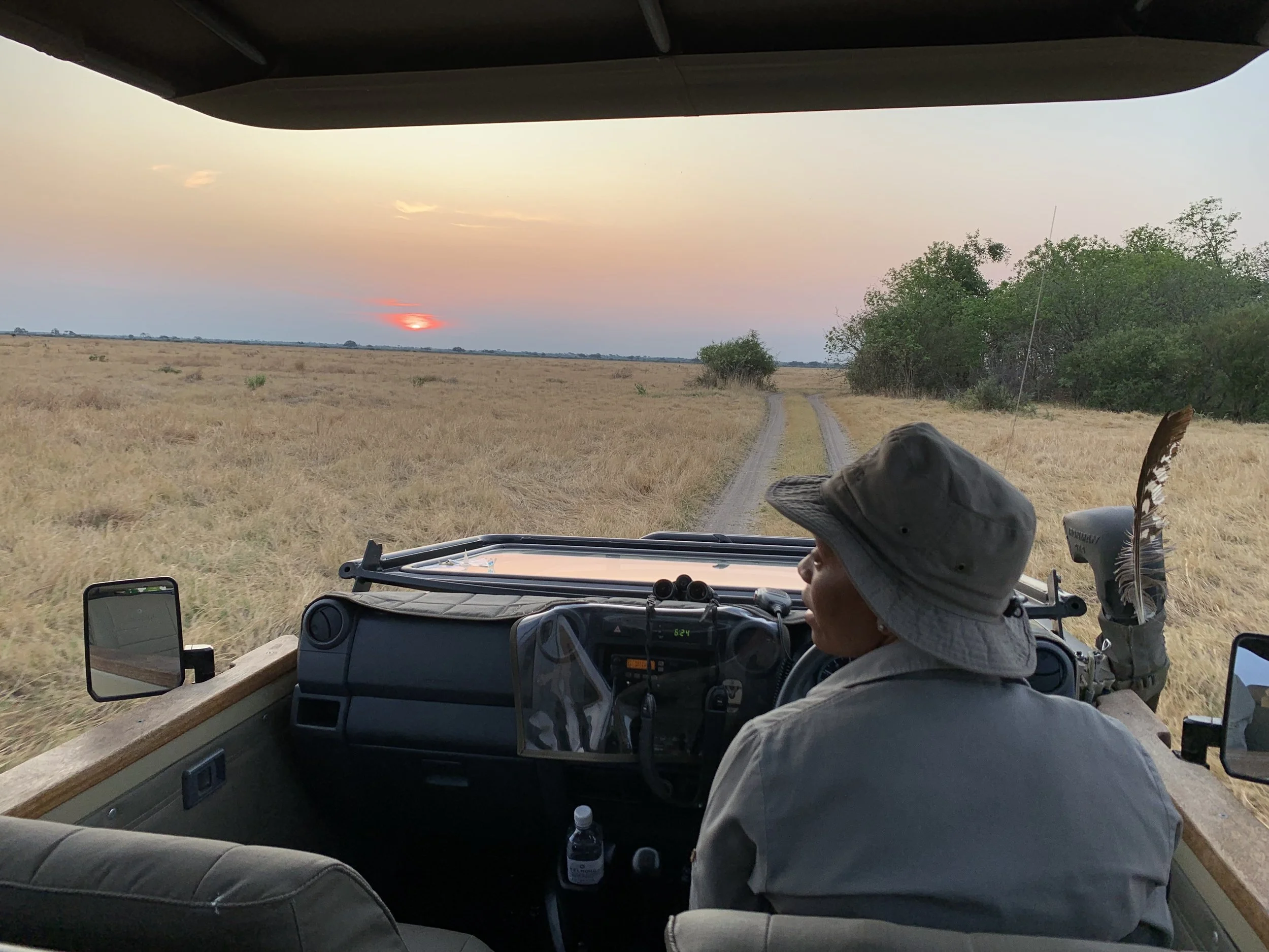 Safari Honeymoon best spots
