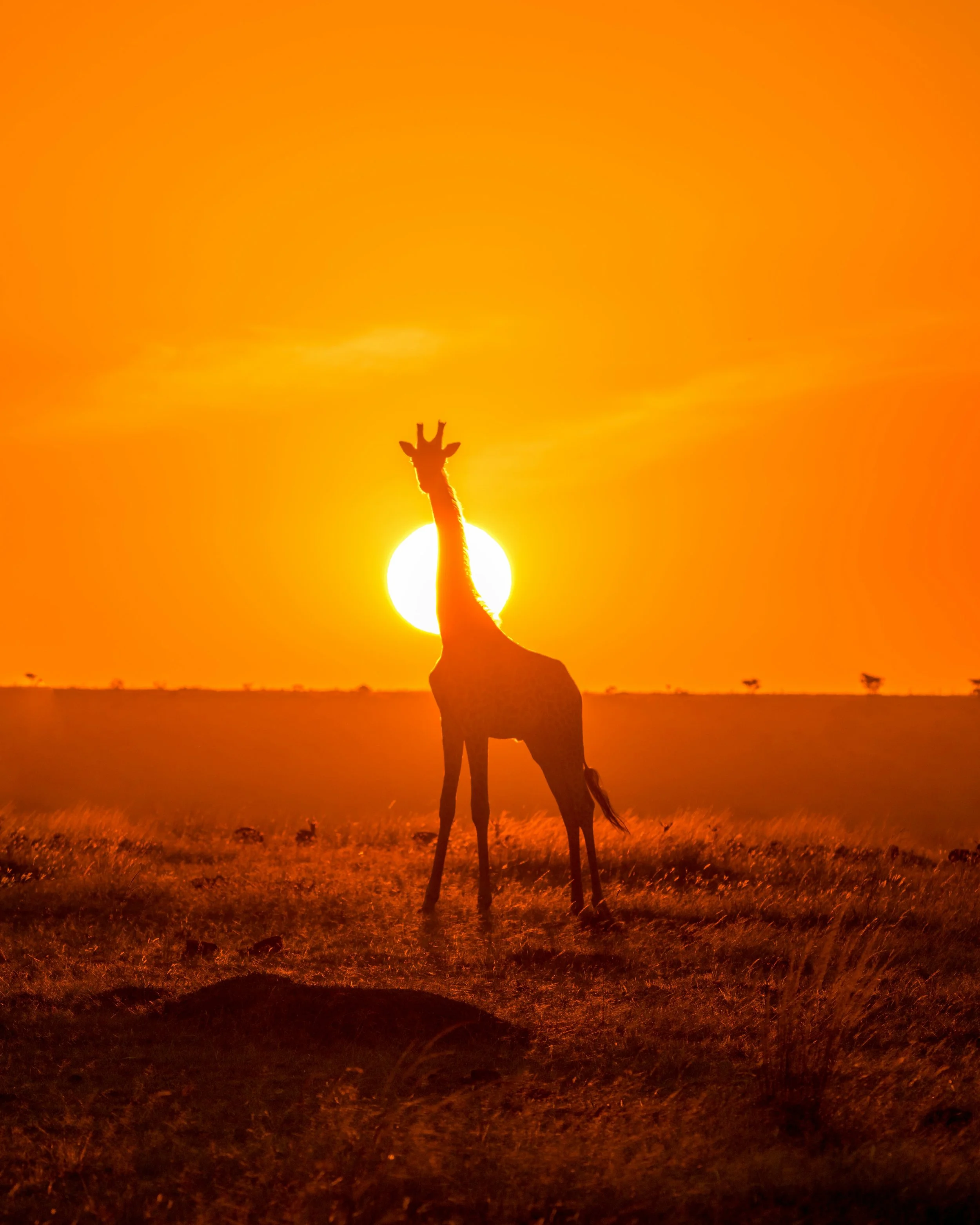 Most Romantic Places In Africa