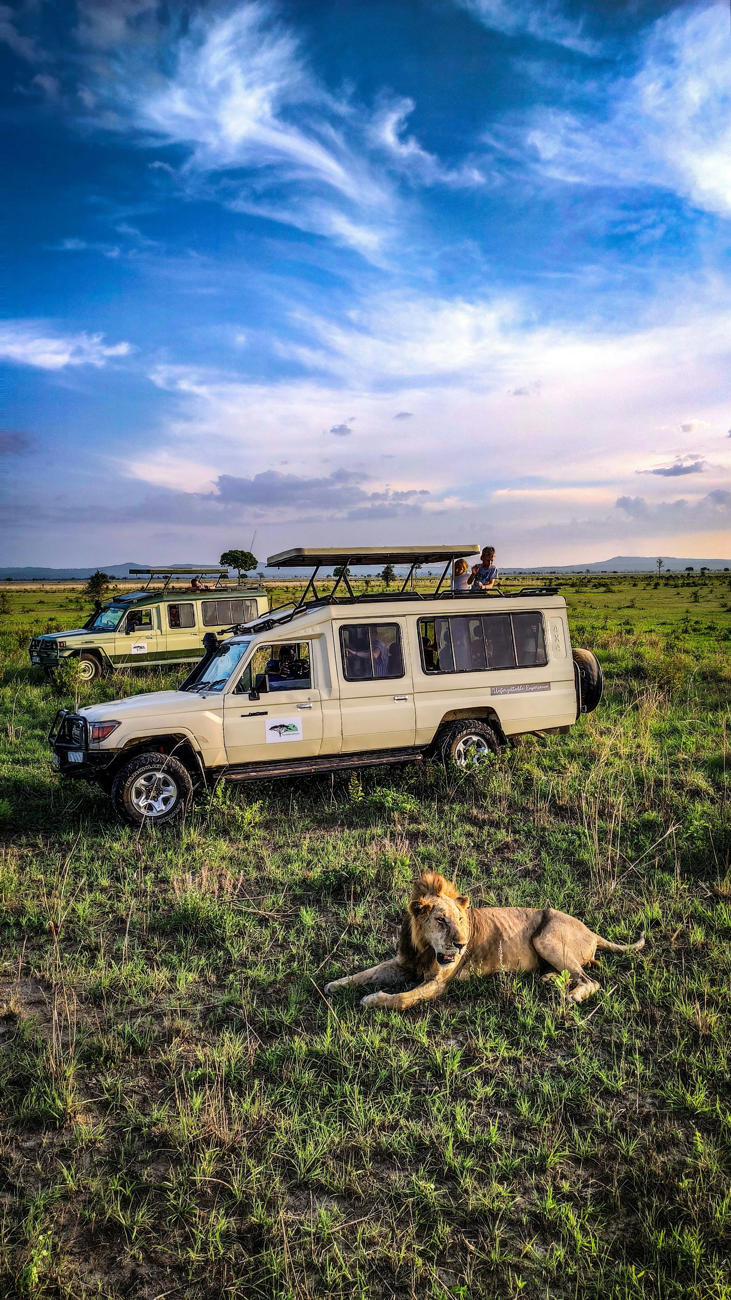 Tanzania Safari Honeymoons for the Adventurous