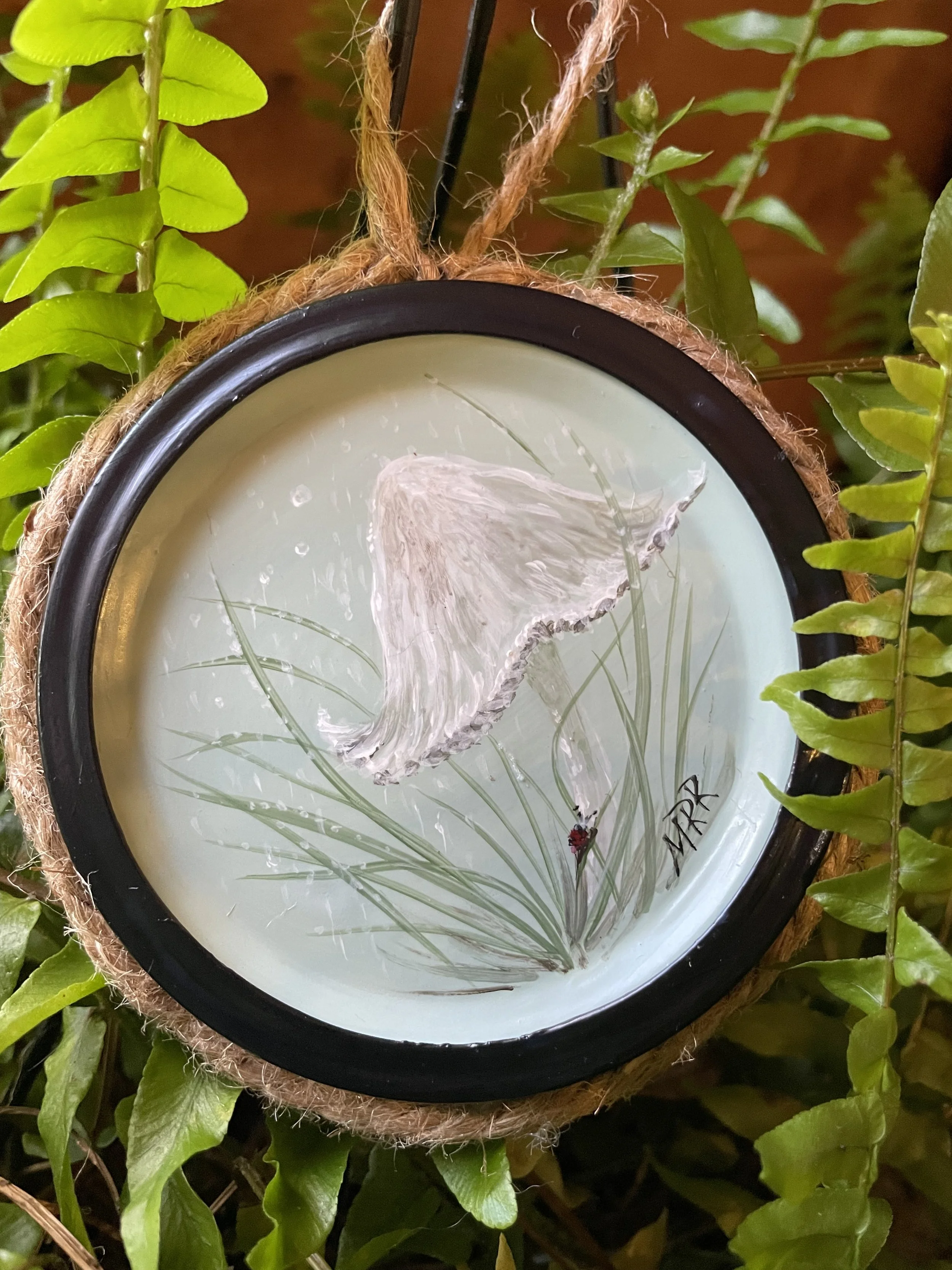 Respite from the Rain