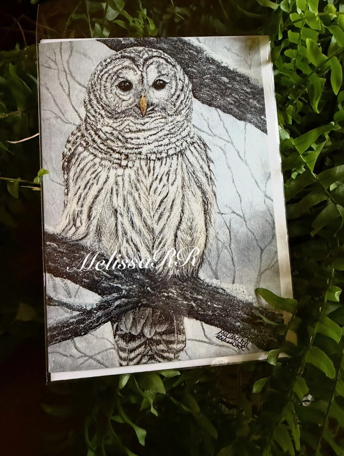 Who Cooks for You? - Card