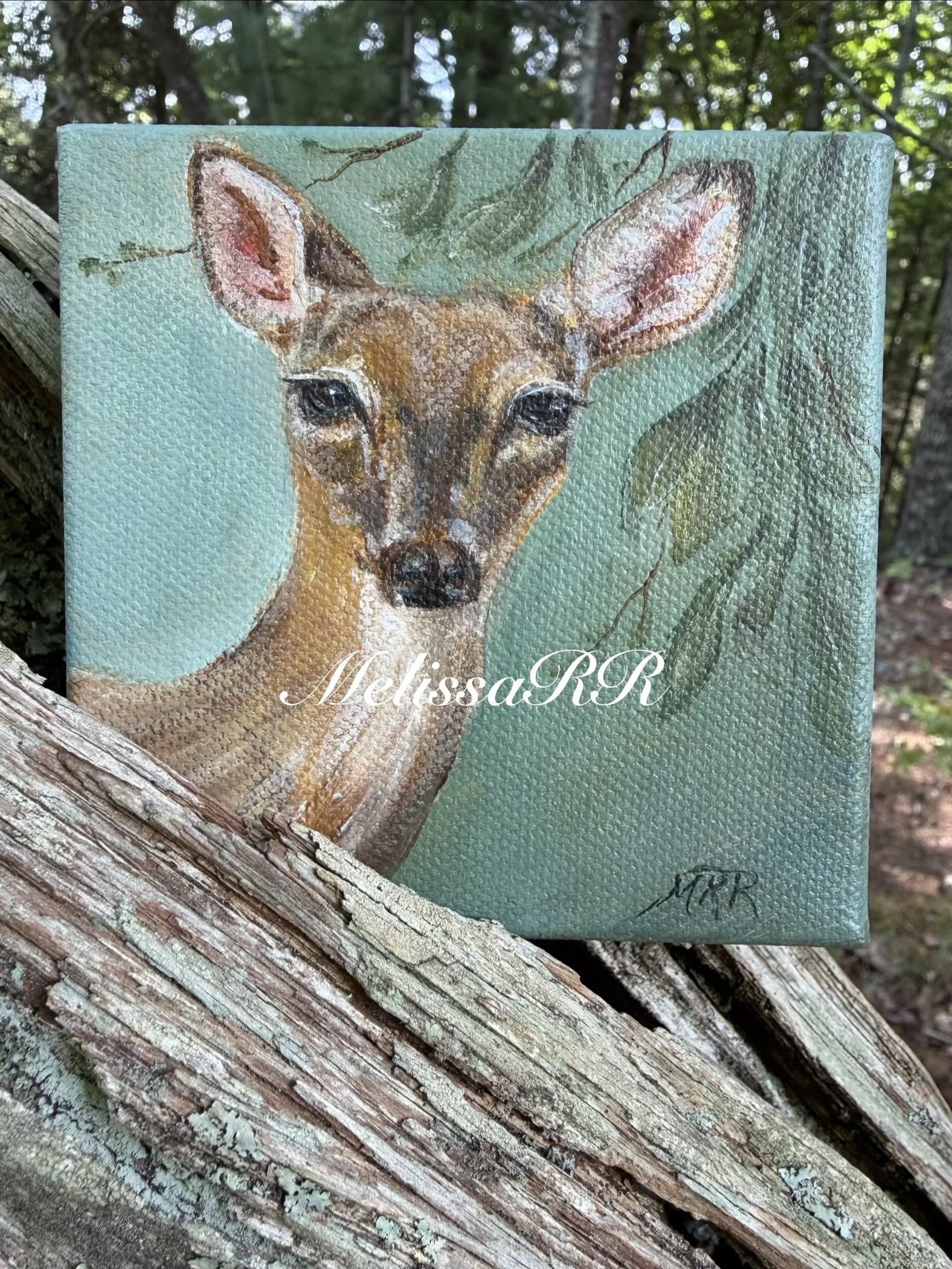 "Stare Down" - Original Acrylic on Canvas
