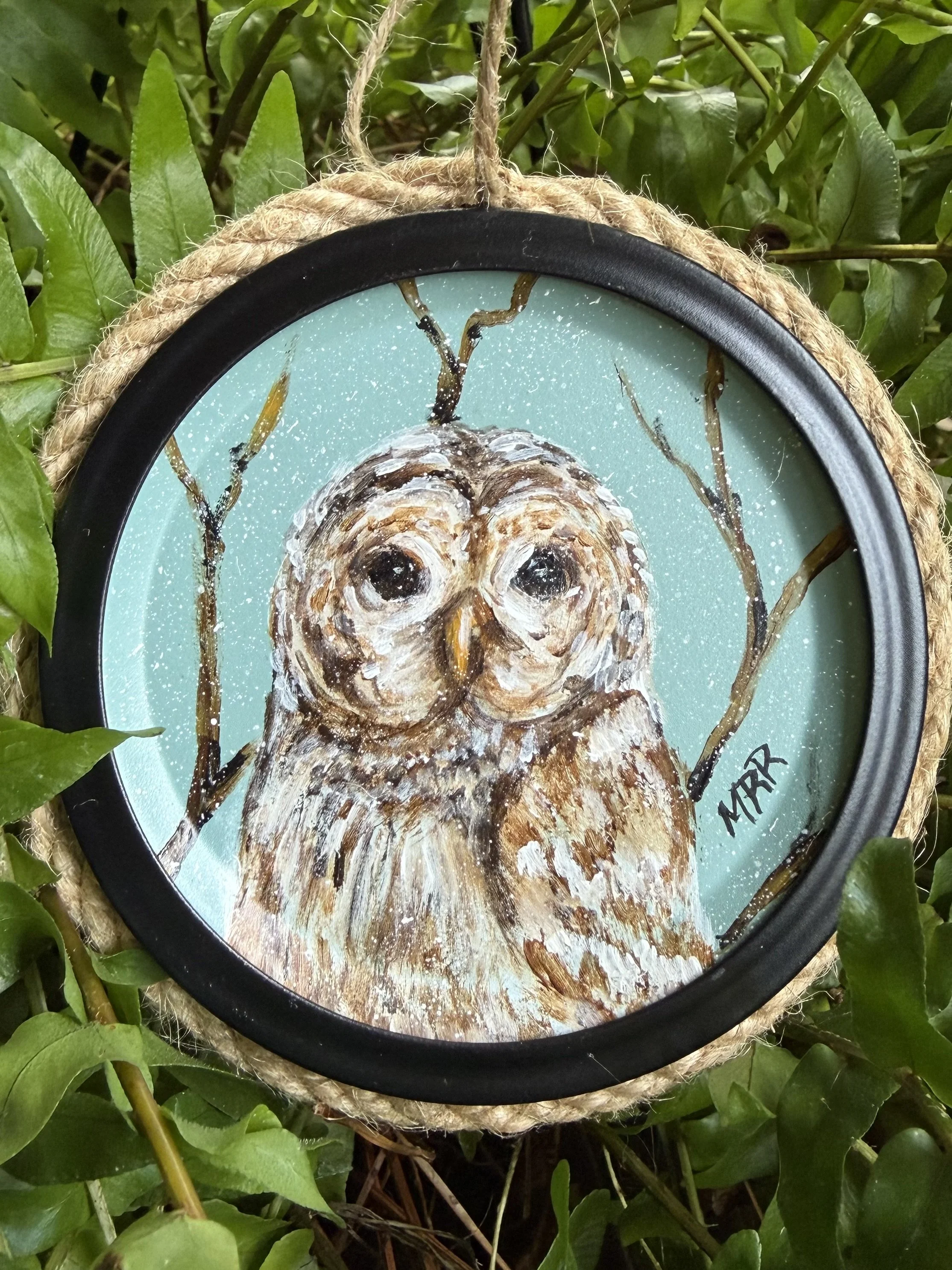Barred Owl - Original Acrylic on Ornament