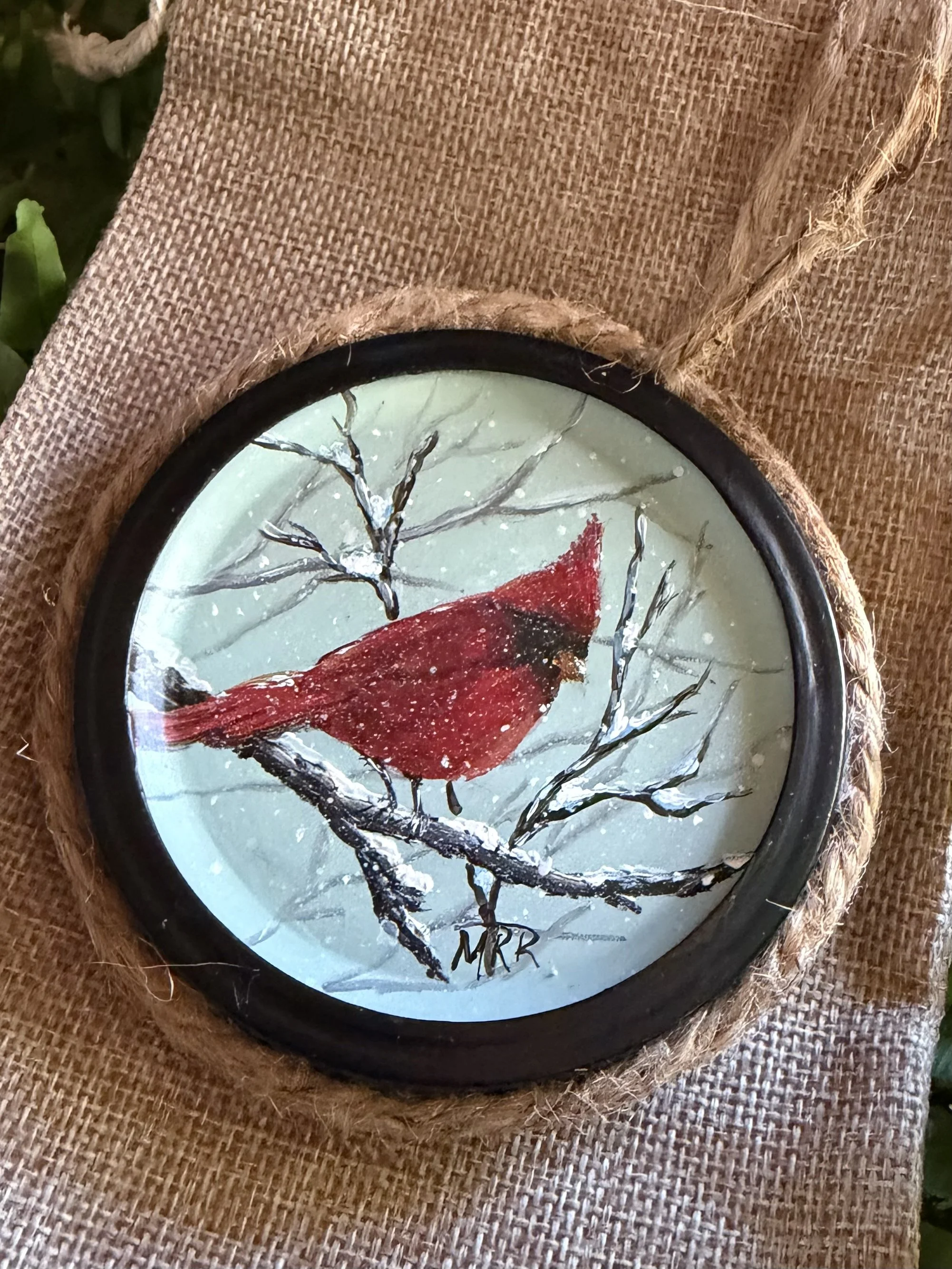 Winter Visitor 2.jpeg