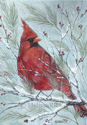 Winter Cardinal - Card