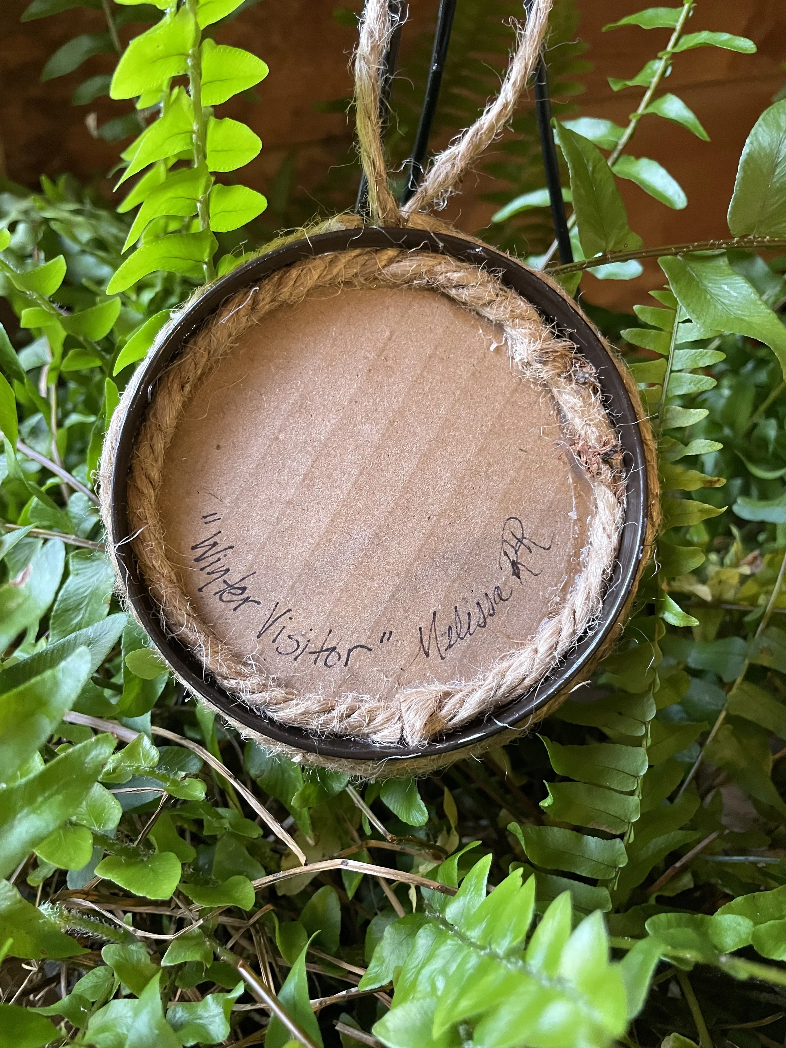 Winter Visitor 3.jpeg