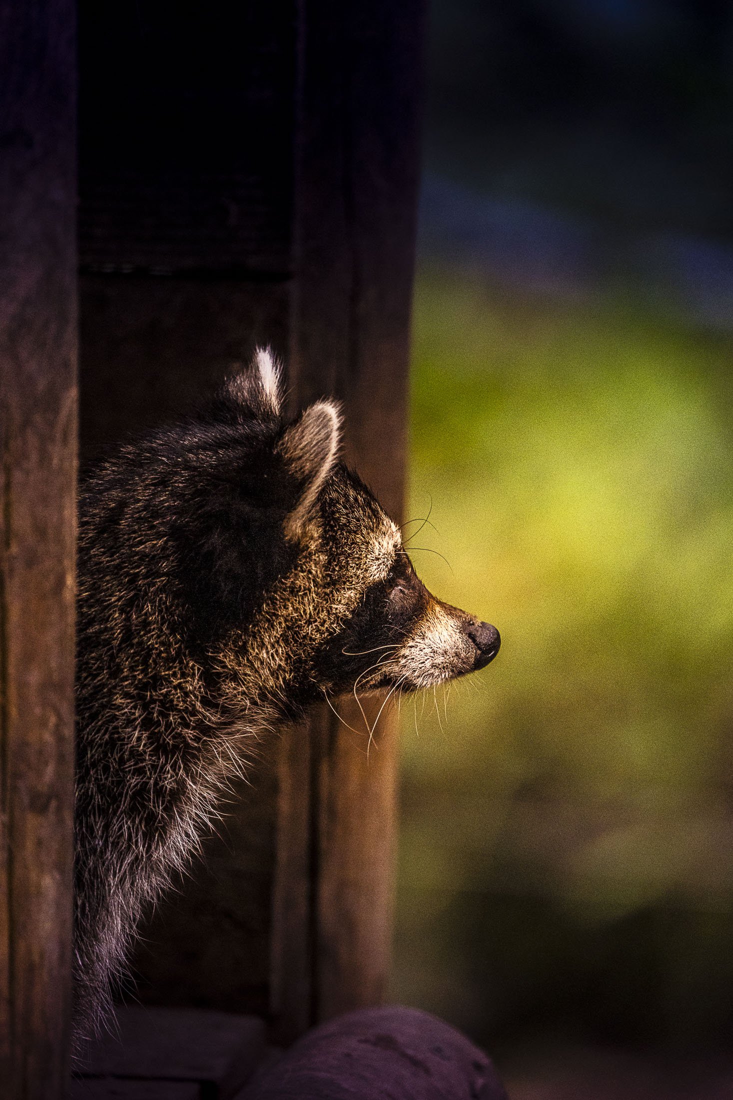 2024-14082024-A7R00350-ⓒFrançois.Bureau Photographie.jpg