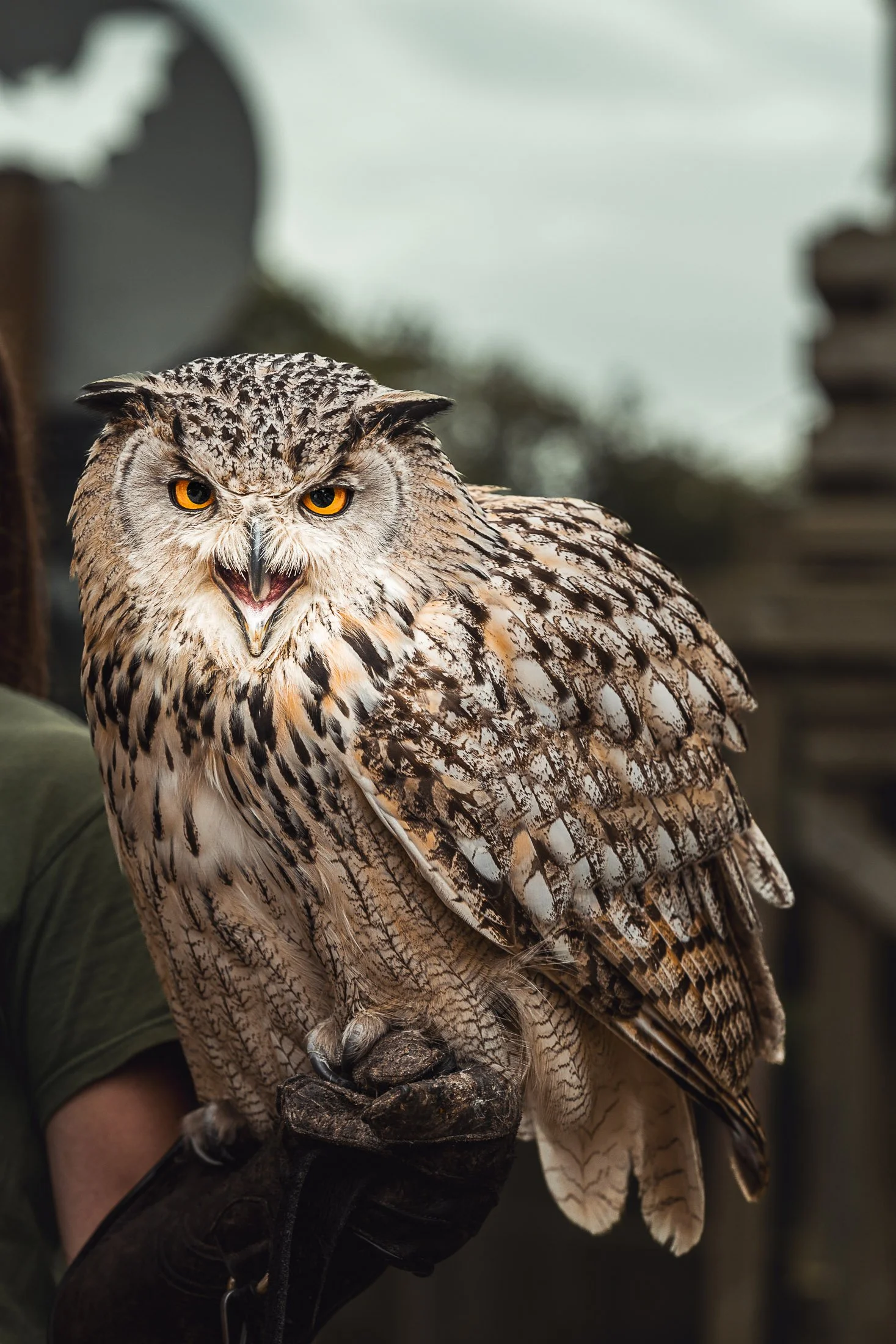 2024-14082024-A7R00478-ⓒFrançois.Bureau Photographie.jpg