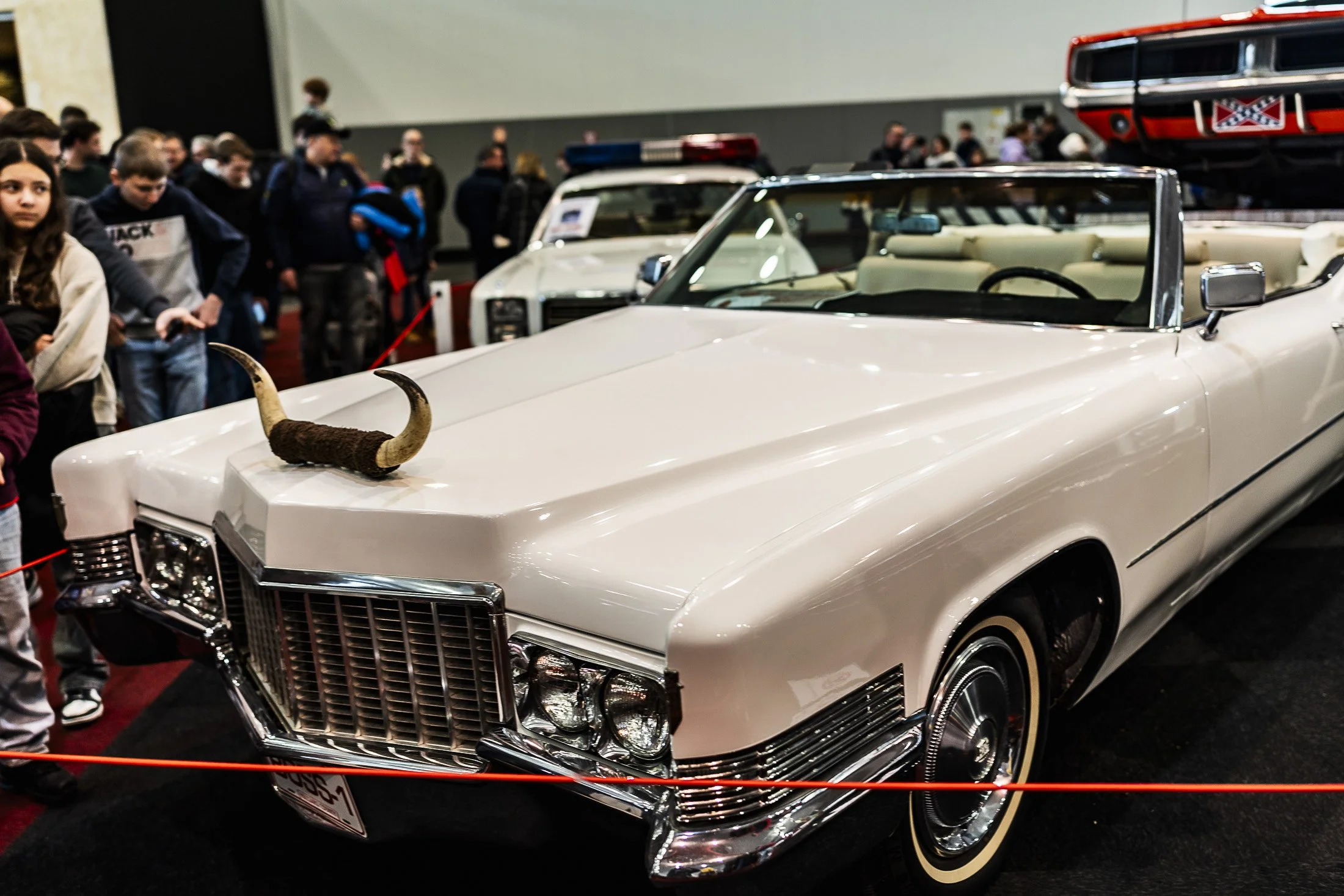 2024-21012024-A7307855-ⓒFrançois.Bureau Photographie.jpg