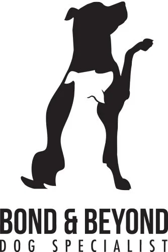 BOND & BEYOND.jpg