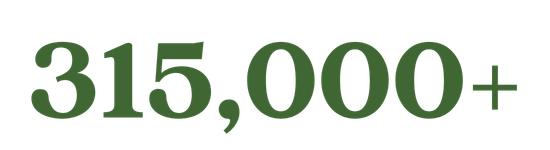 315,000+