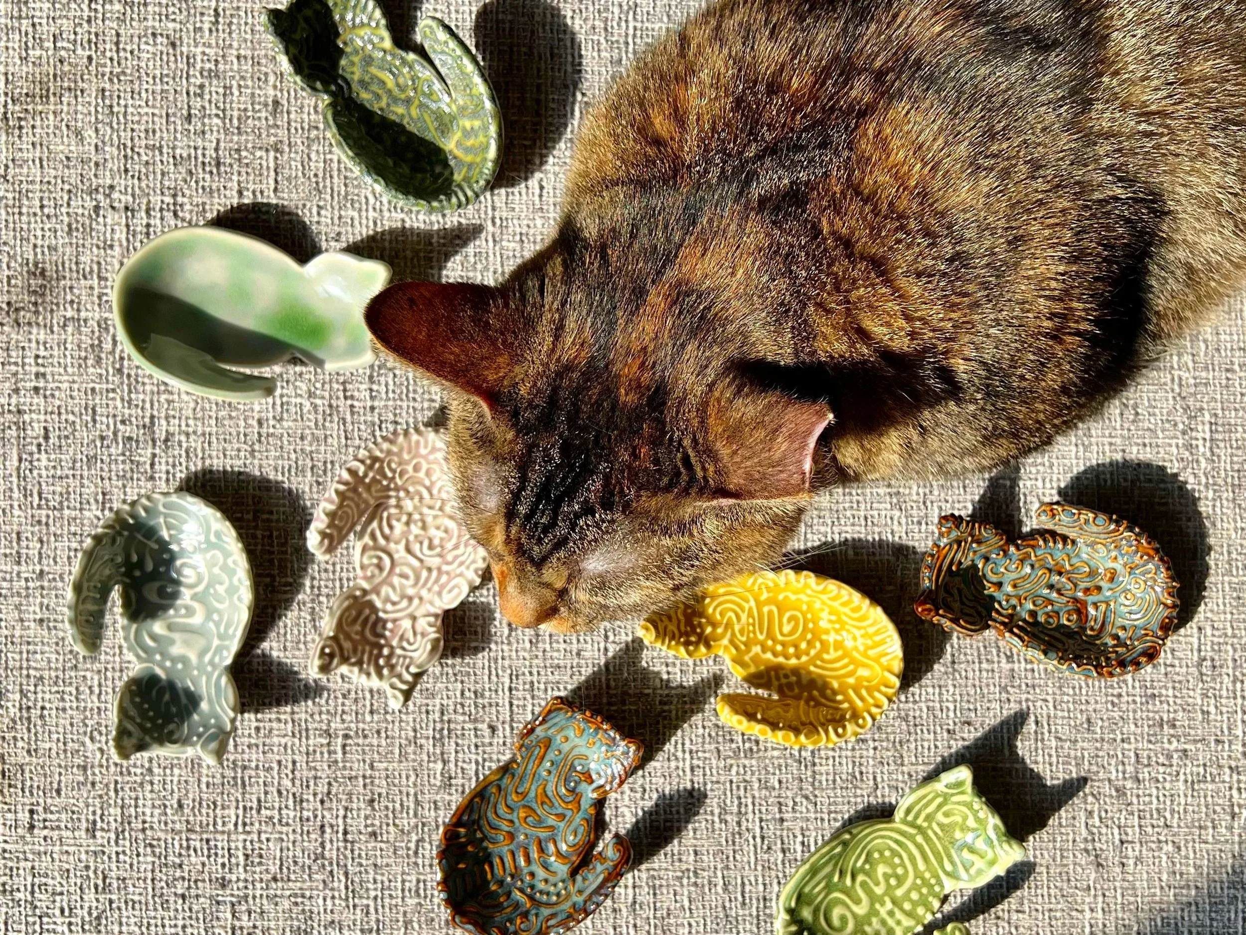 Ring dishes and Wallace.jpg