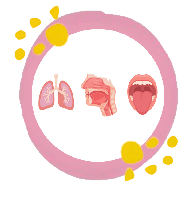 Illustration of human respiratory system with lungs, nasal cavity, and mouth