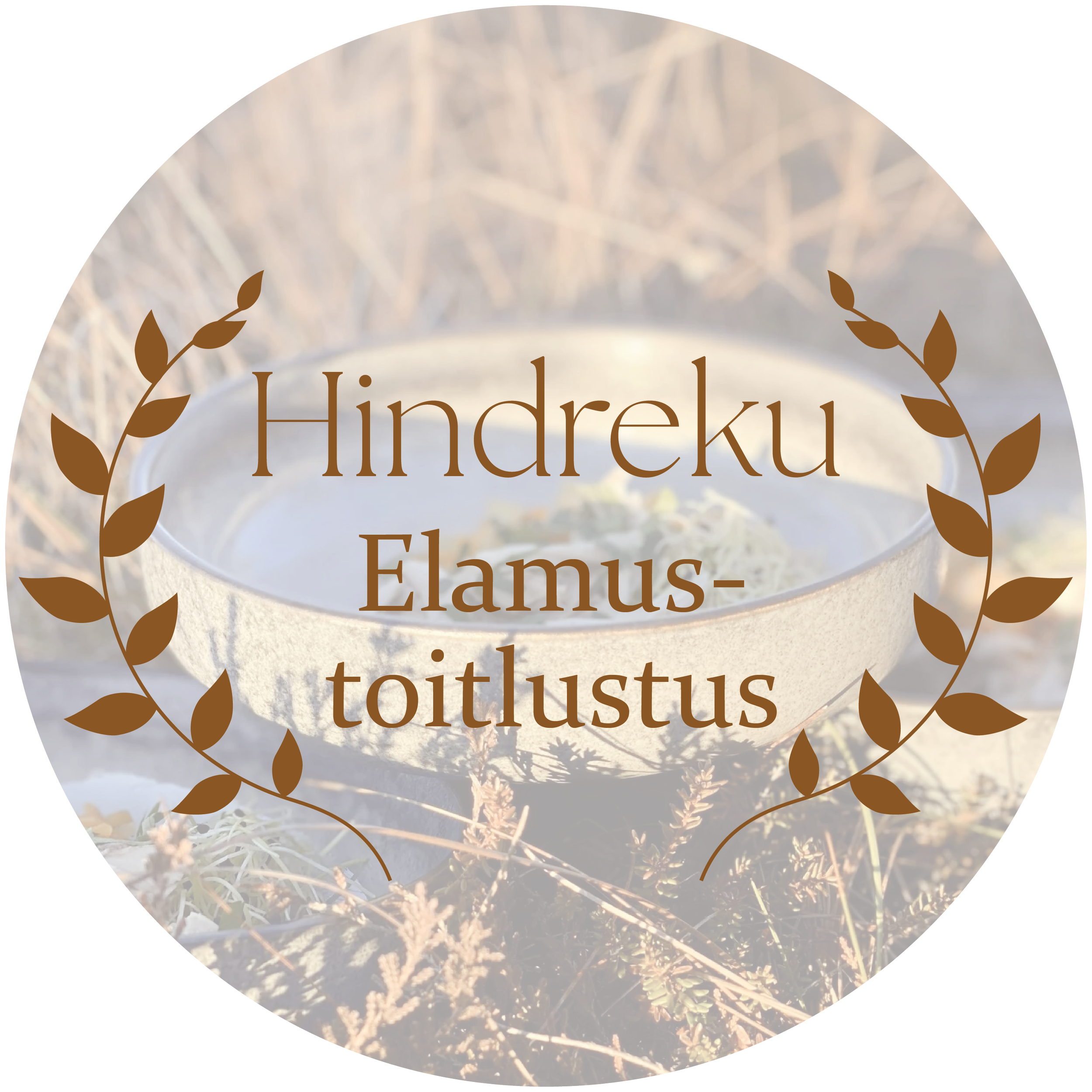 27.12, 12.00 - Elamustoitlustus