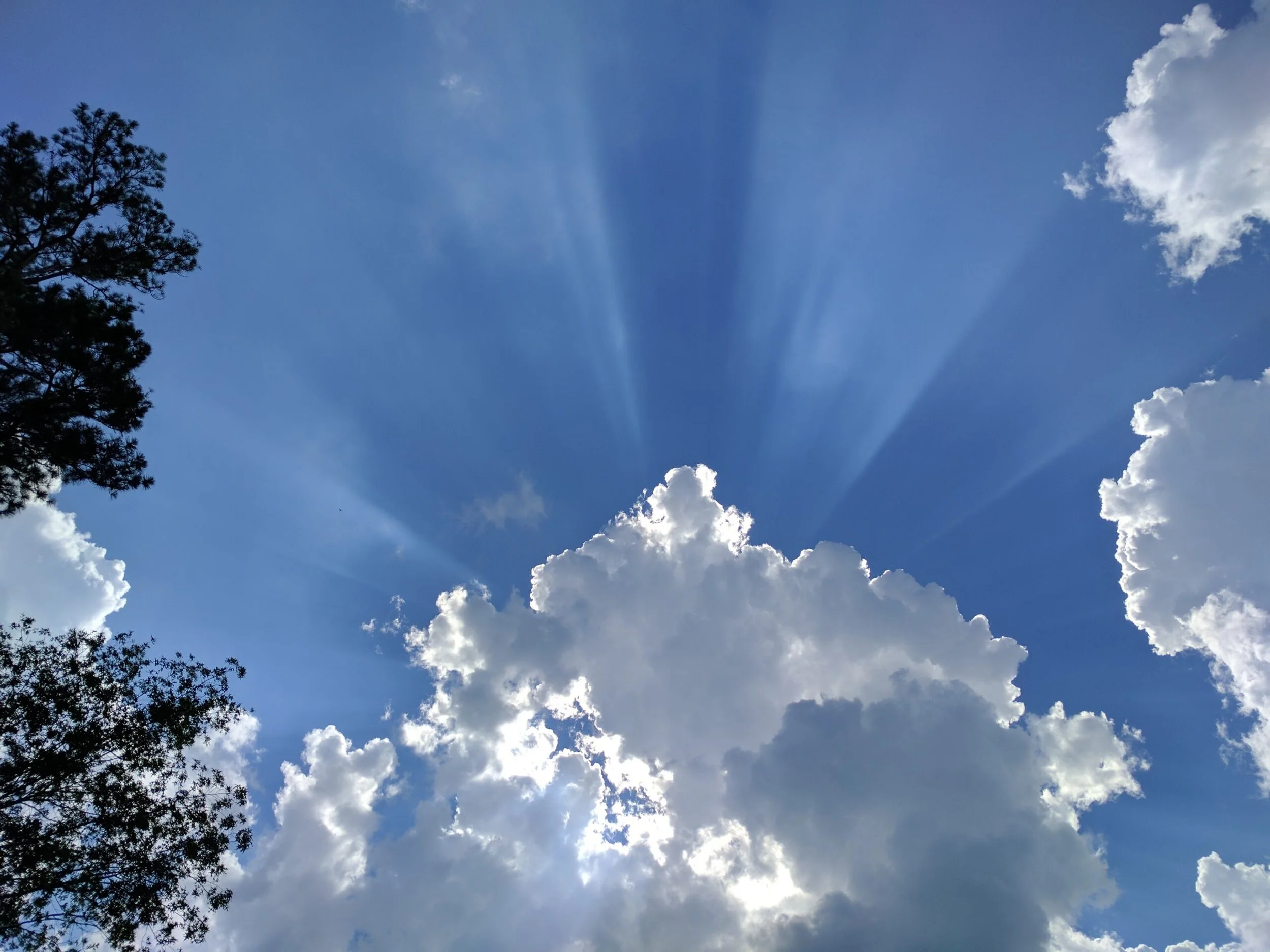 The Unwritten Rules of Locum Tenens