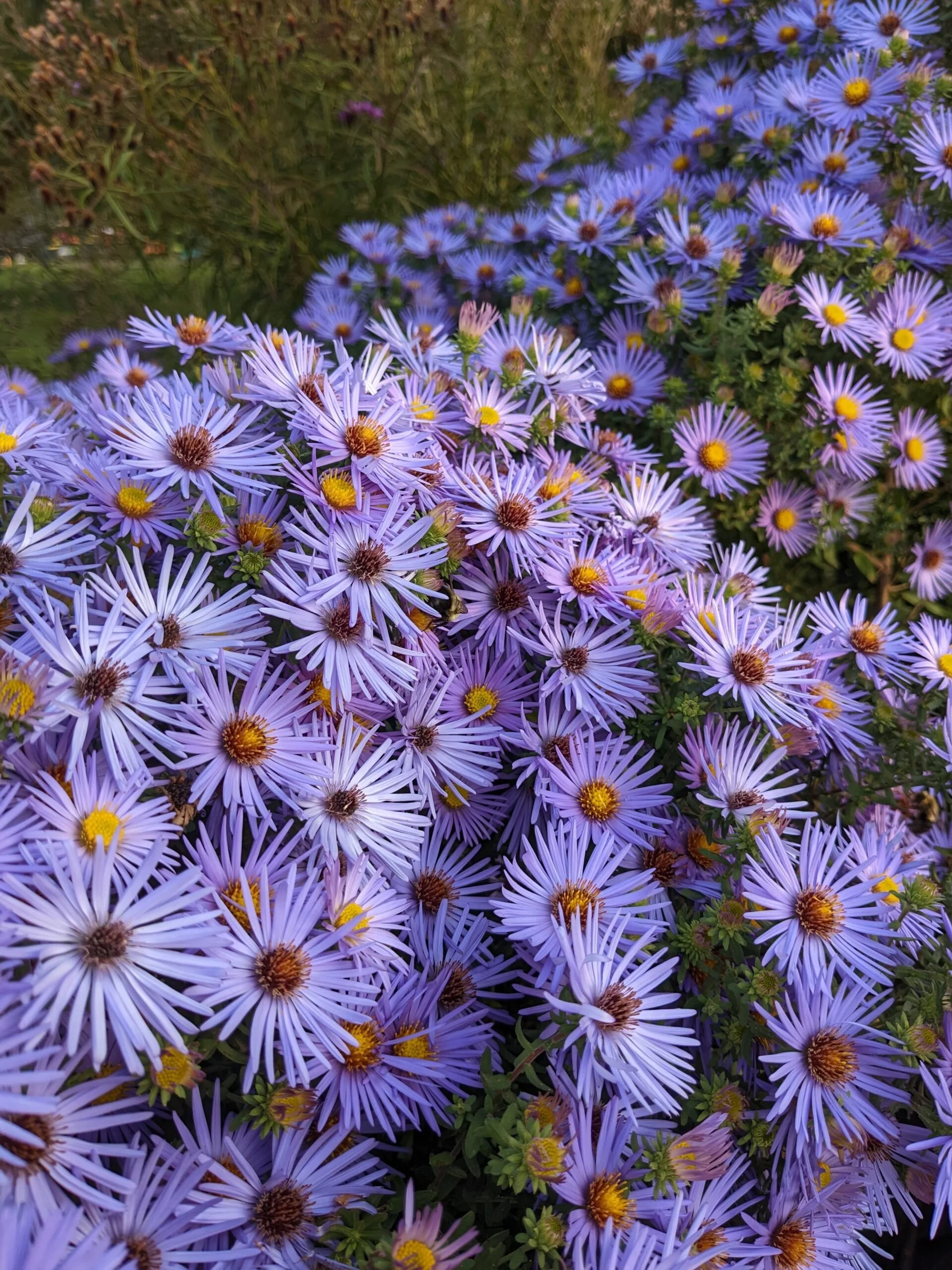 An Overview & Guide to Locum Tenens