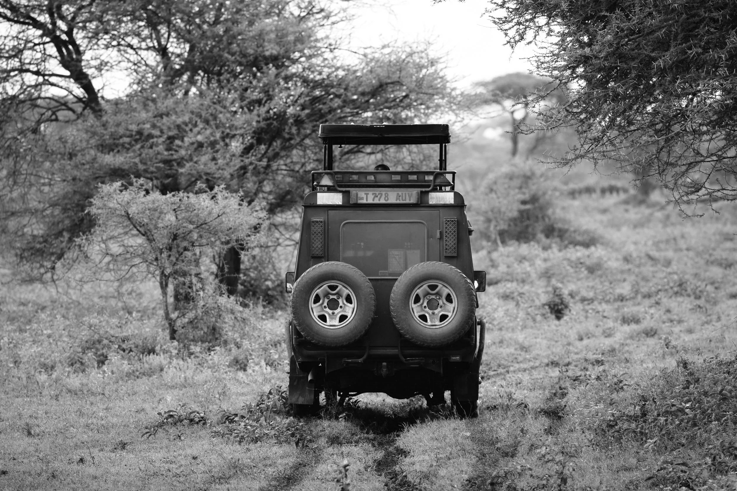 A black and white photo of a safari vehicle with two spare tires mounted on the back, parked on a muddy grassy trail in the African savannah with trees and bushes.
