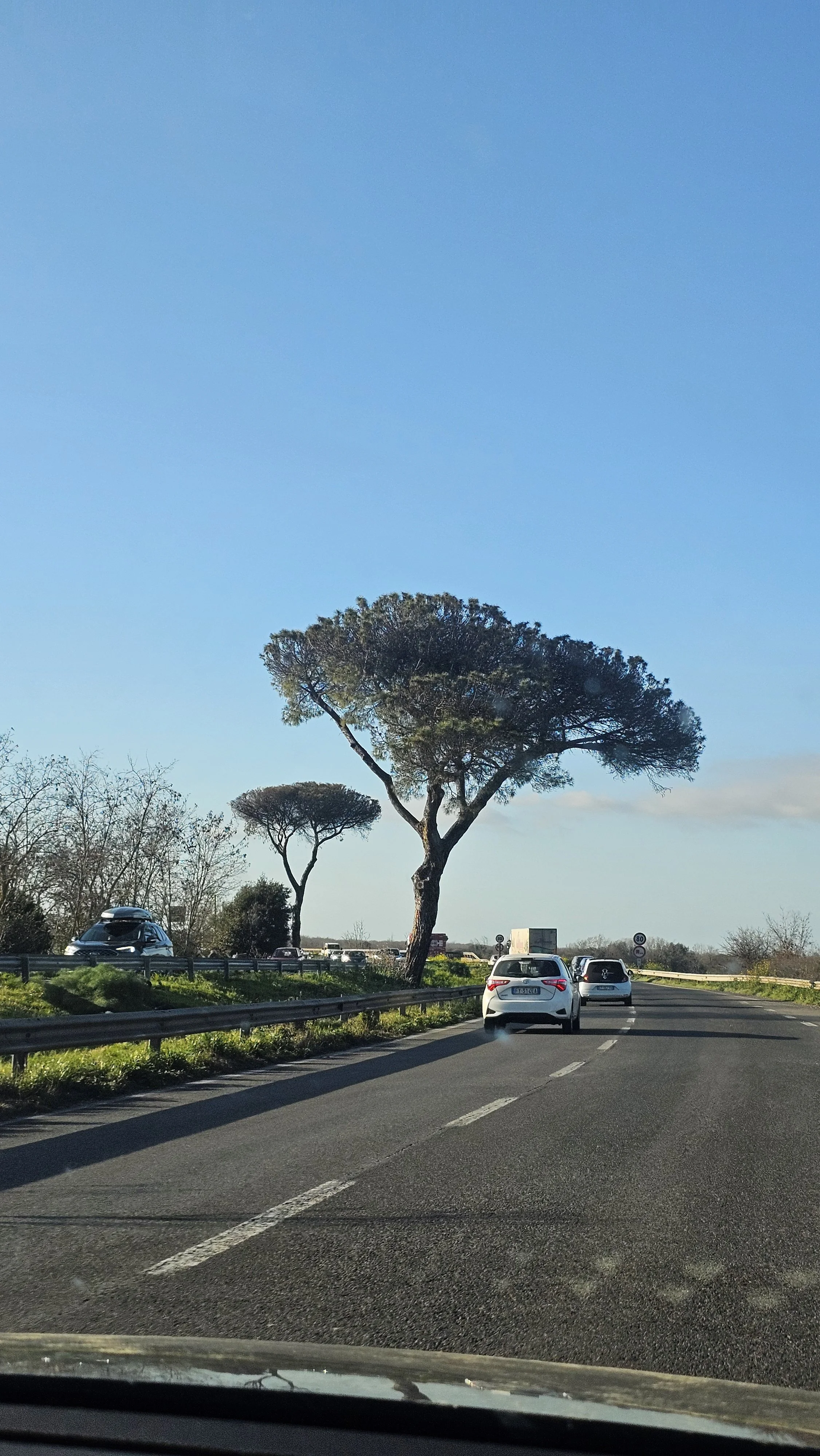 Why We're Moving to Italy: Our Italian Citizenship Journey Begins