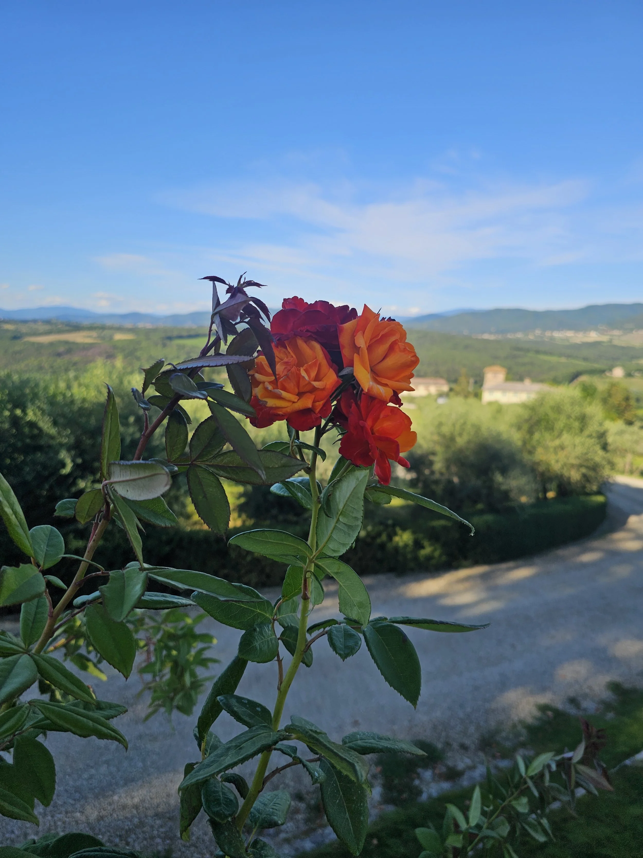Let’s Go to Italy: Will We Like It?