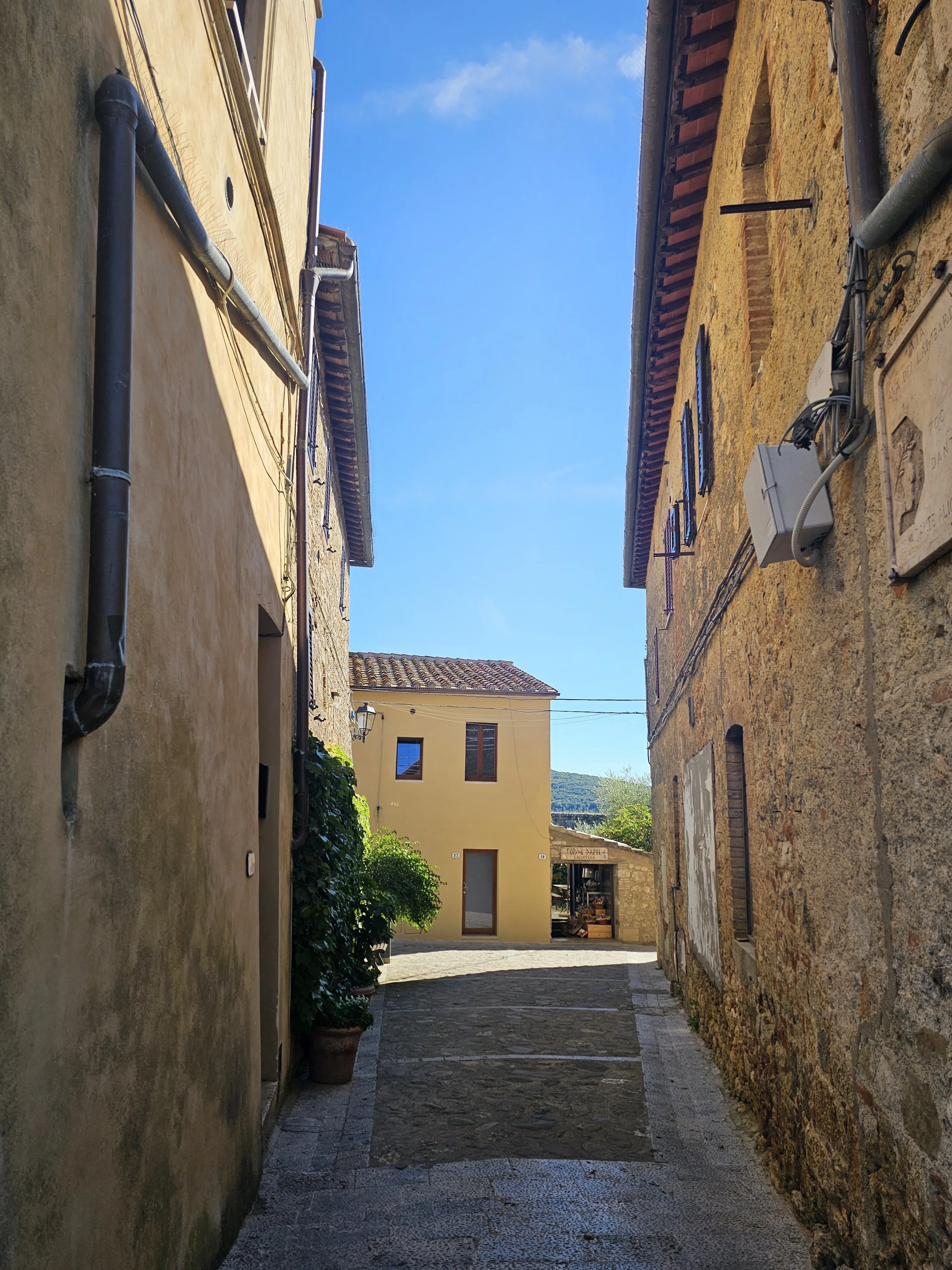 The Search Is On: Finding Our Italian Farm with Agritourism in Mind