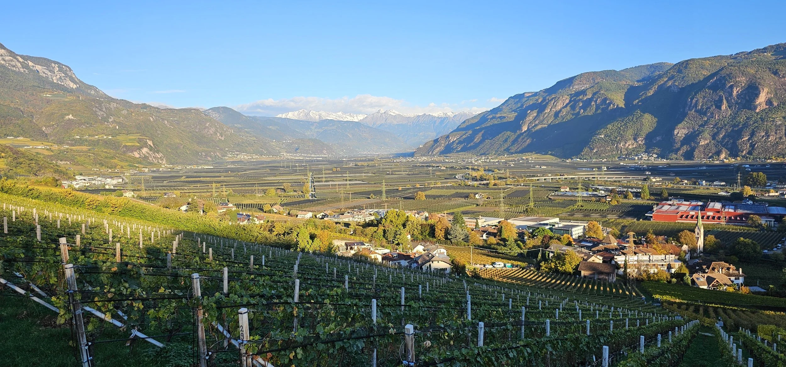 View near Freangarto Frangart Italty Looking North Across Apple Orchards
