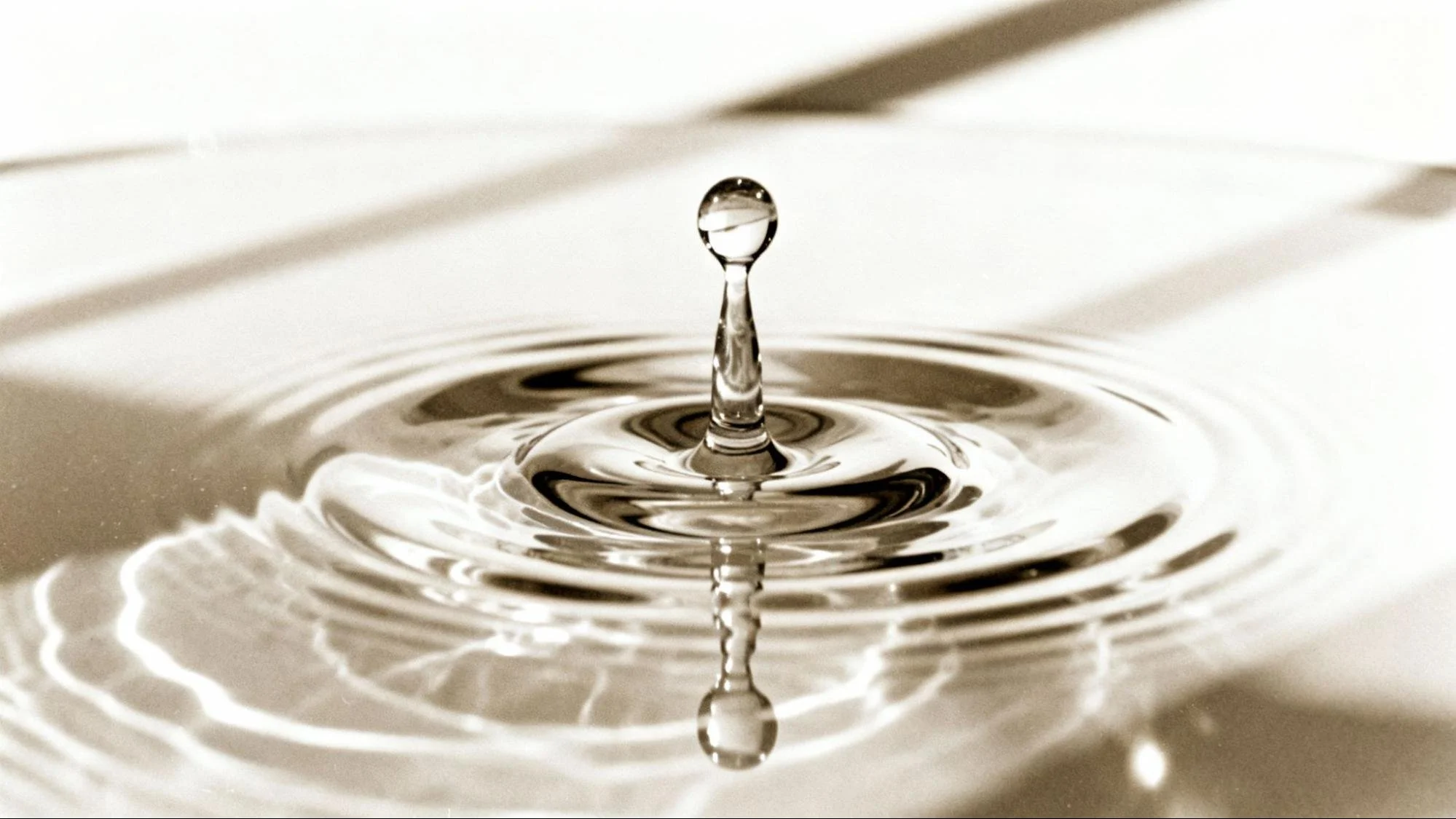 How Can Chewing Birchwood Gum and Oil Pulling Help Prevent Tooth Decay?