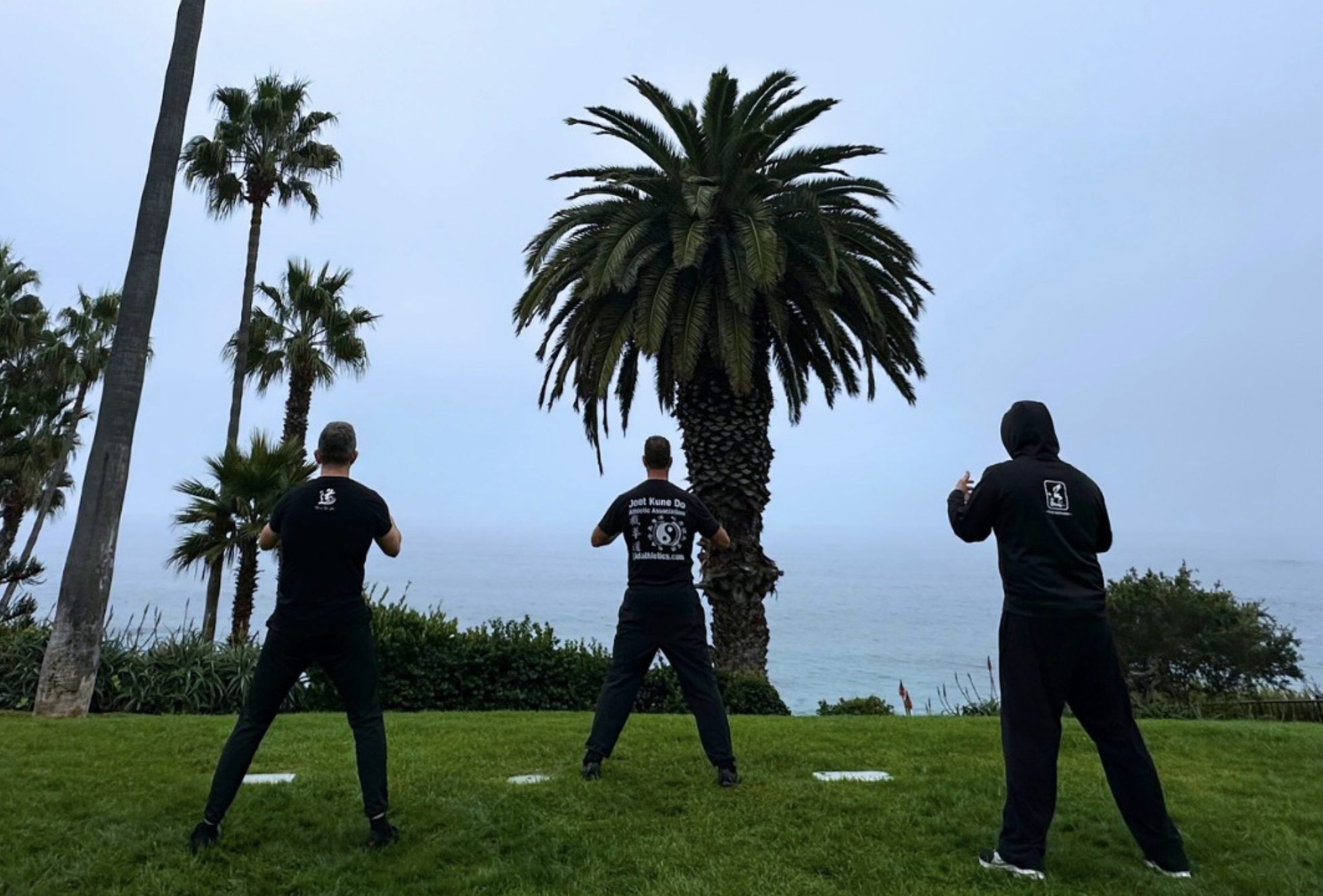 Three people in black martial arts uniforms practicing in front of palm trees near the ocean during dusk.