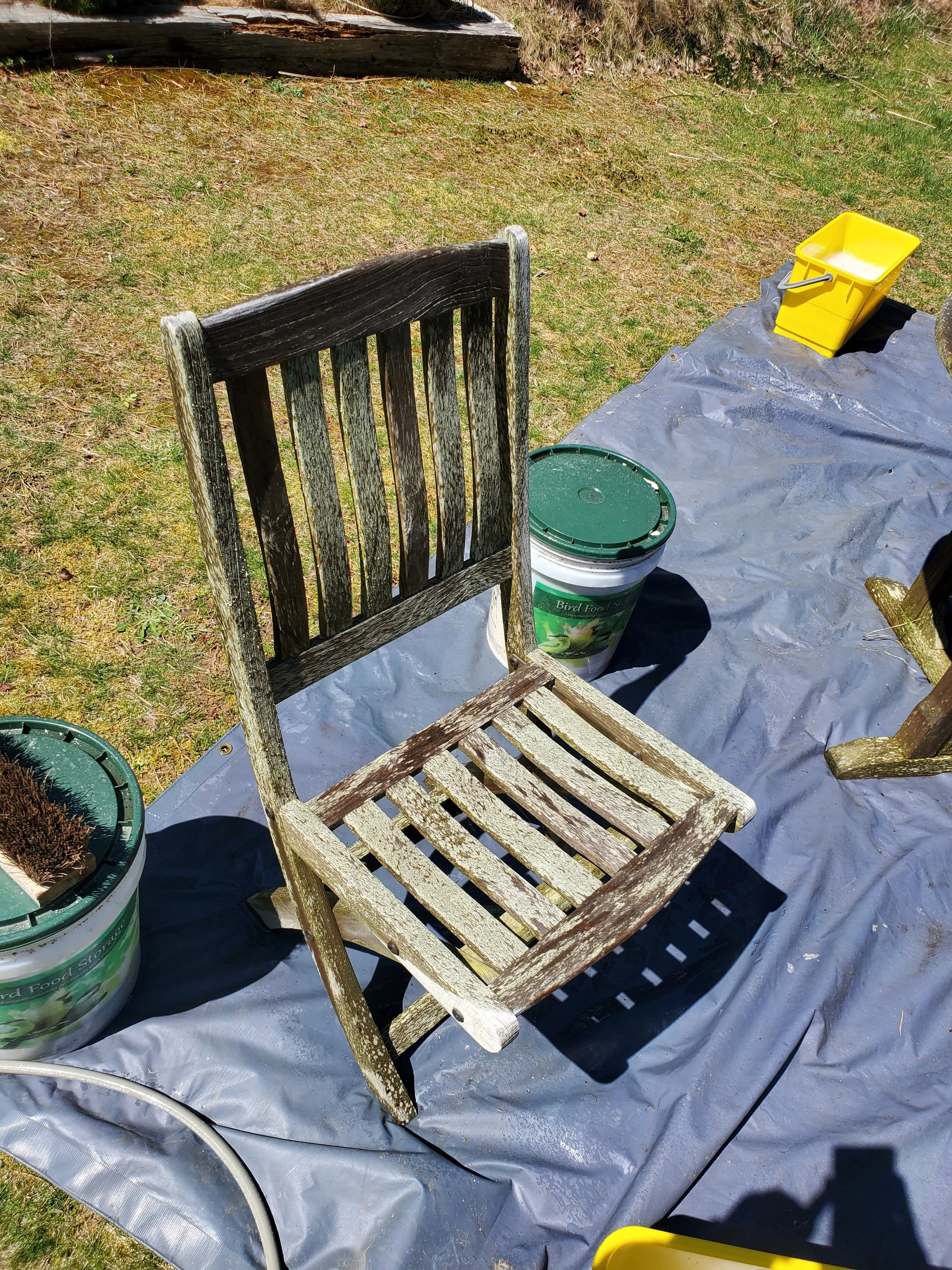 20210423_113130.jpg