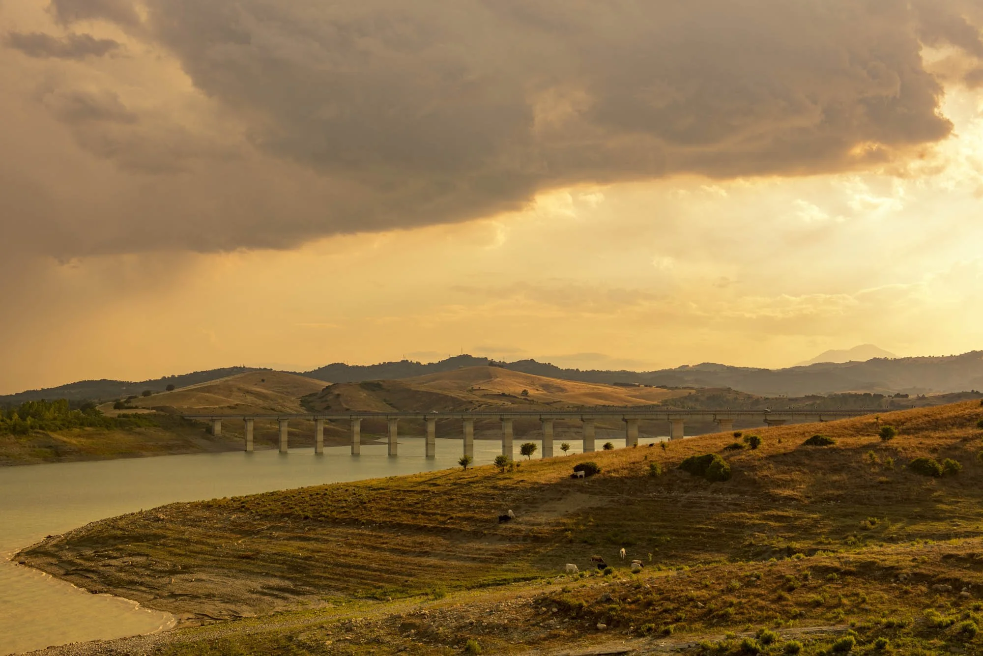 _111_MRM7291 copia.jpg