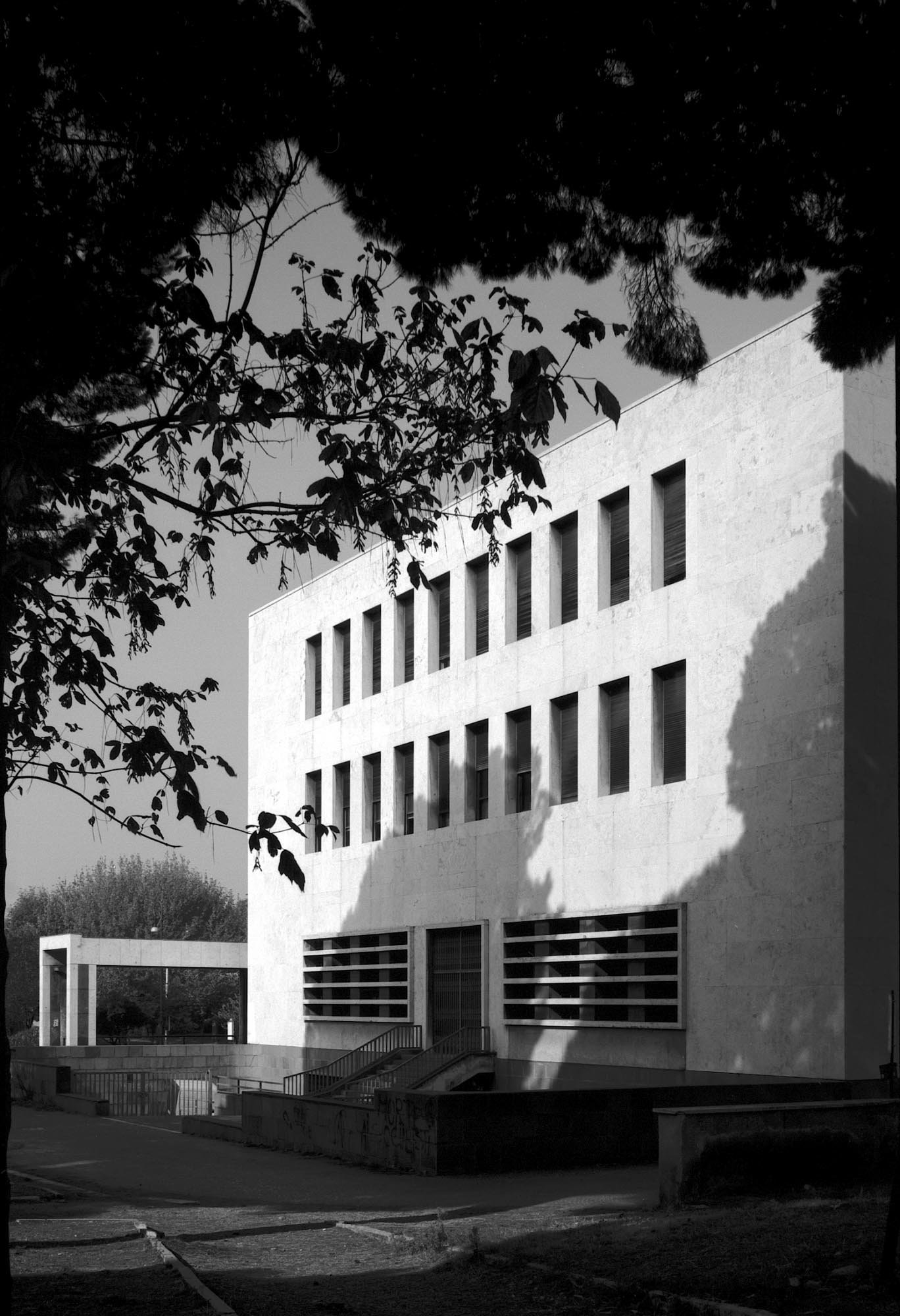 m0021.jpg
