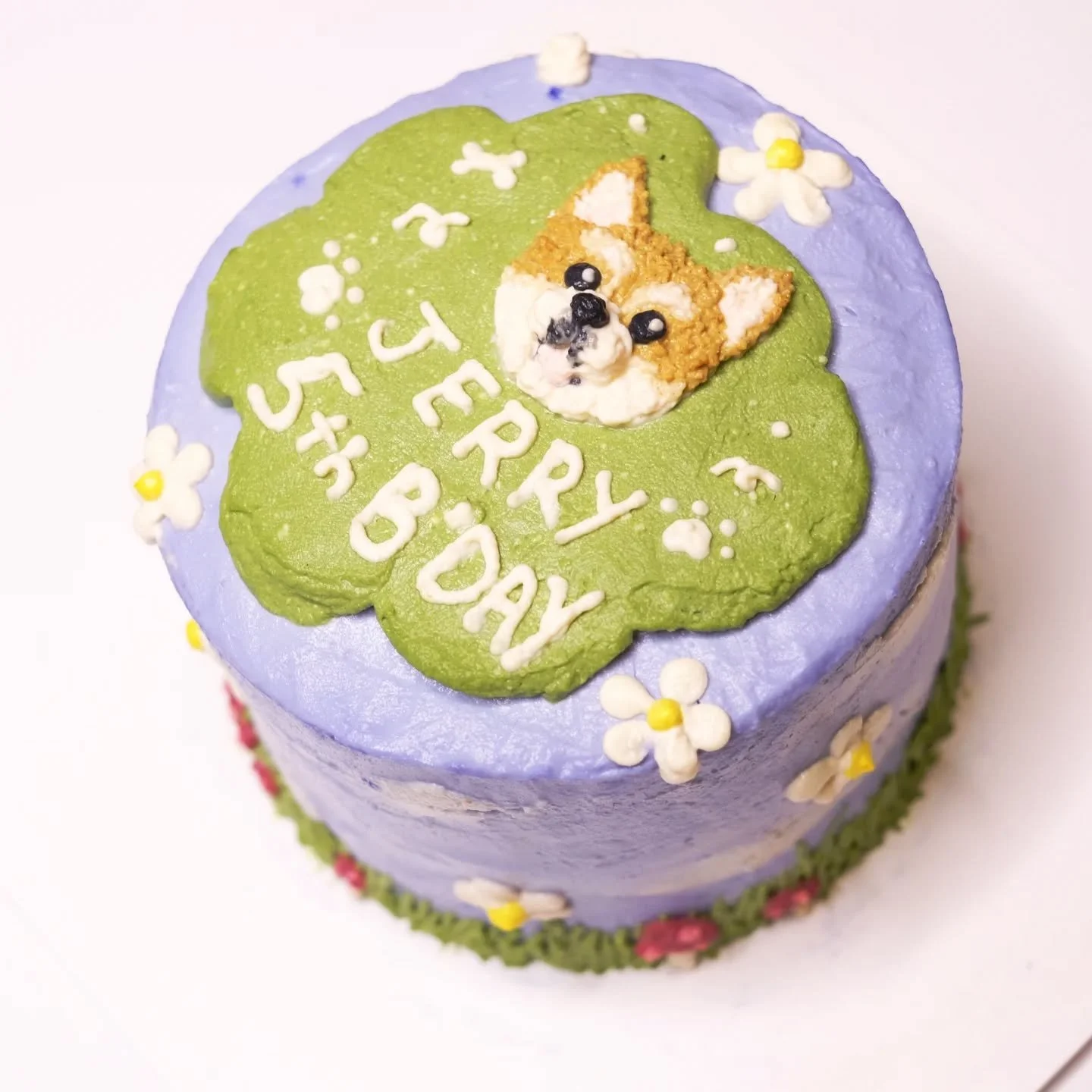 A look at one of our most recent custom cakes for Jerry's 5th! His pawrents asked for a cute springtime look, completed with daisies and mushrooms on some soft grass. Colouring is made of purely natural ingredients. 🍄🌼🐾

We do love a springtime bi