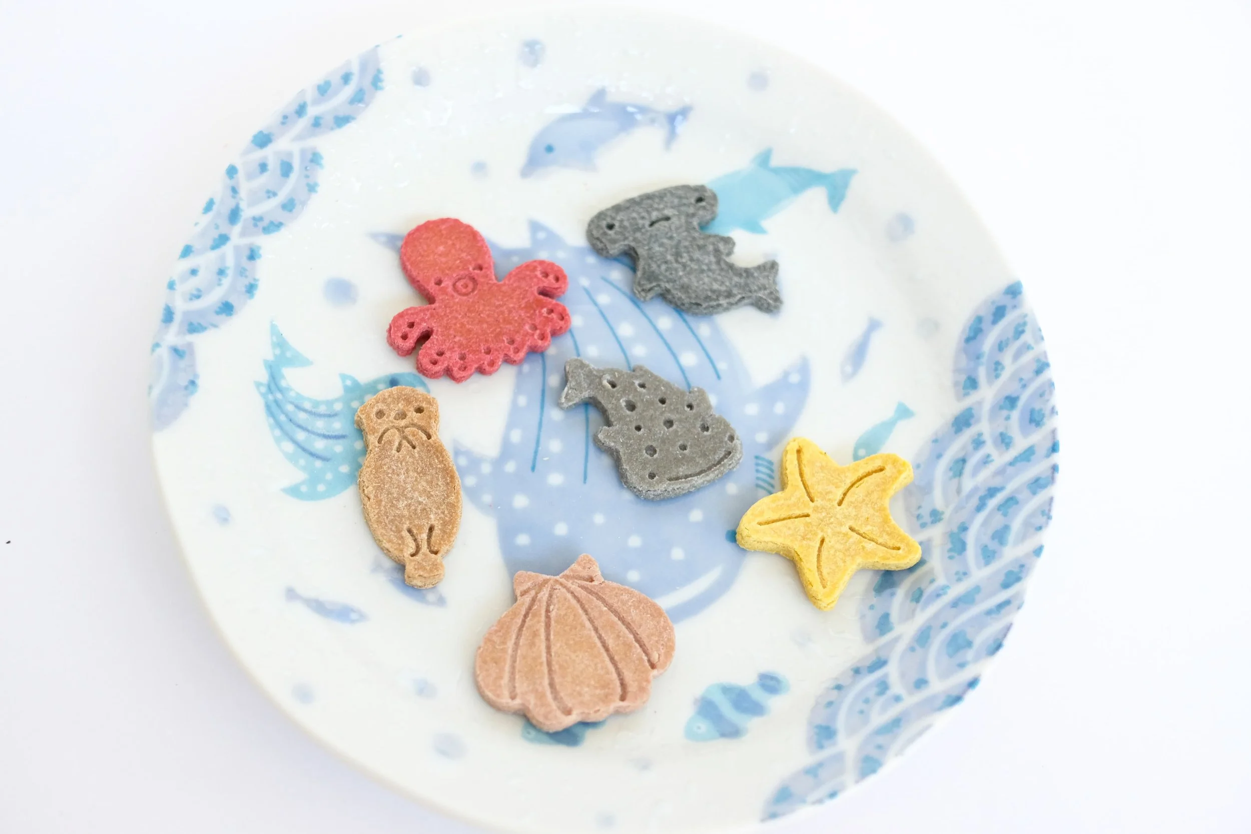 Ocean Friends Bikkies