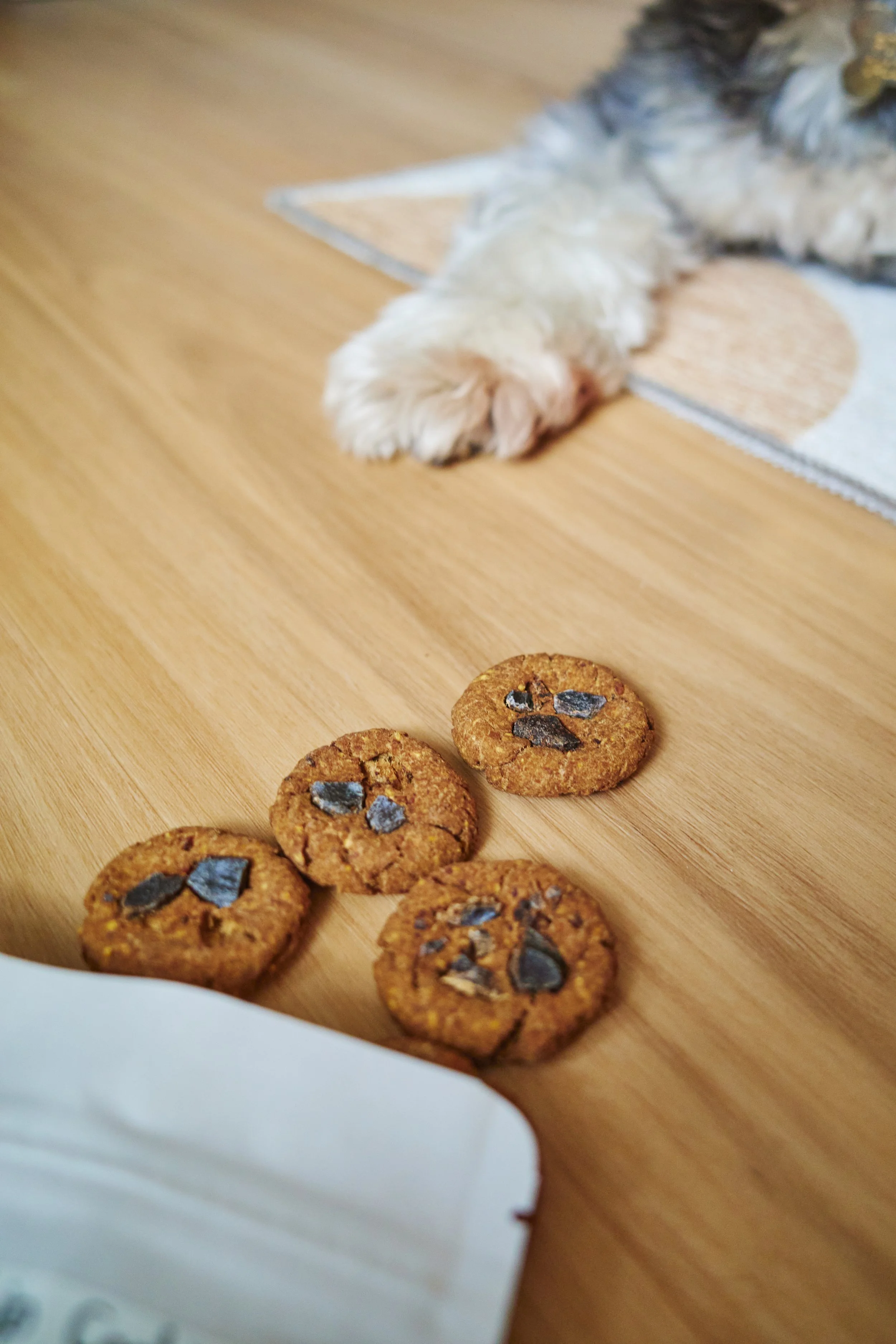 Maison Hunny_071.jpg