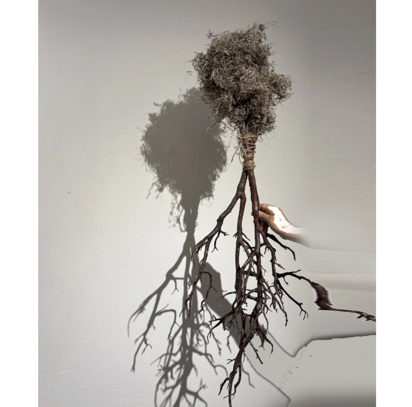 落葉歸根 (A Falling Leaf Returns to Its Roots)