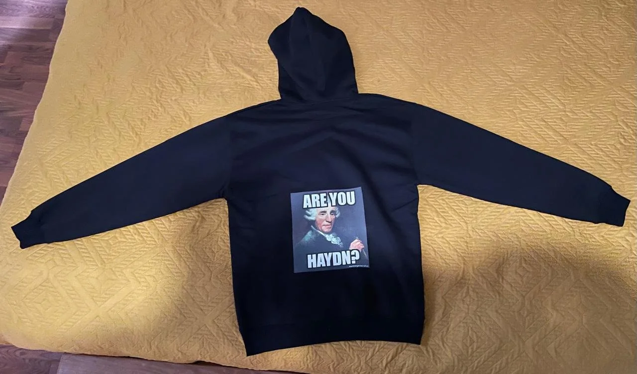 ARE YOU HAYDN? Hoodie