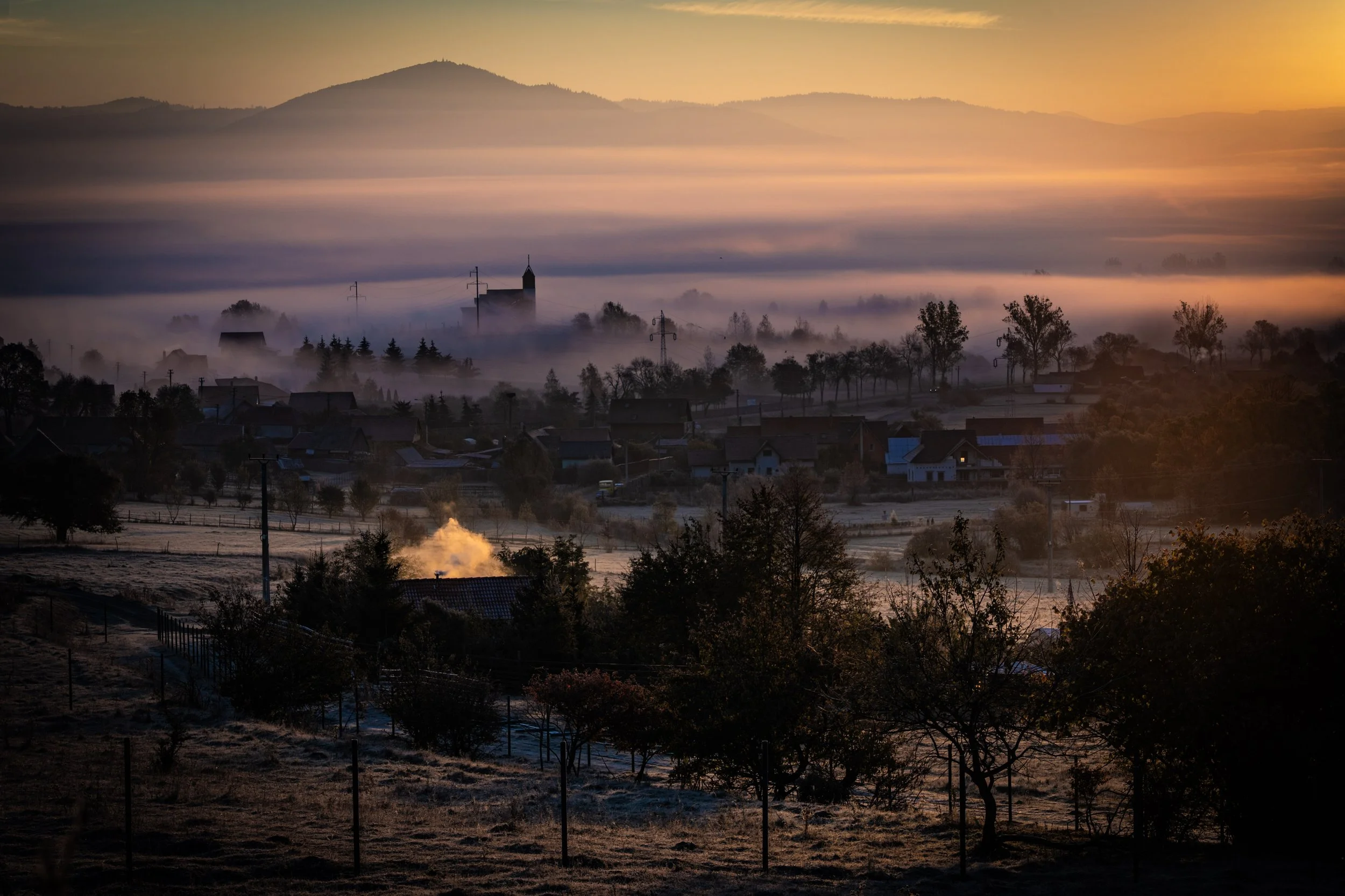 Foggy morning 